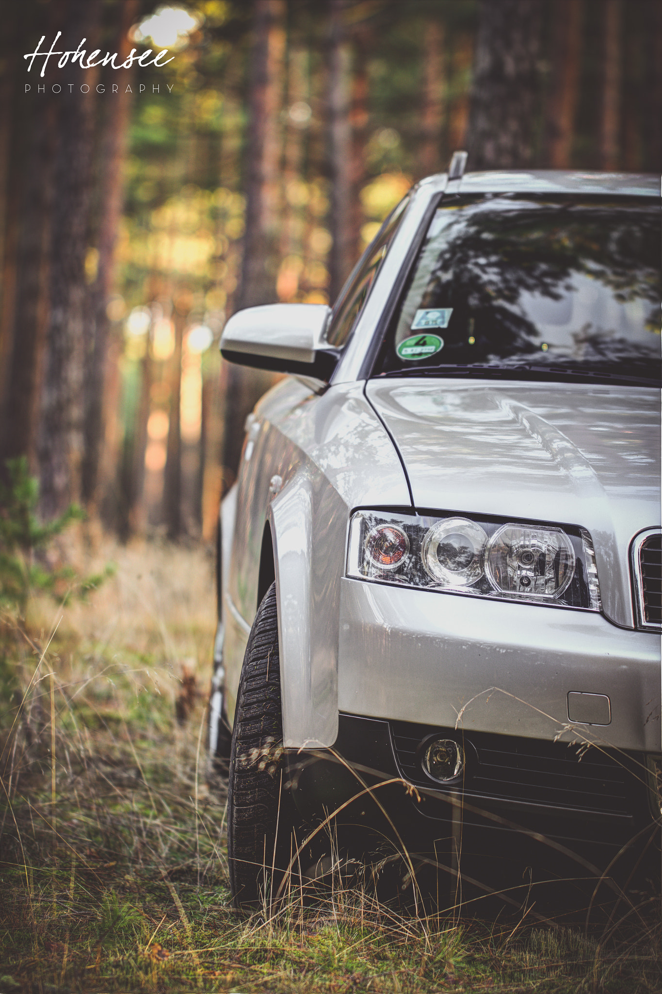 Canon EOS 600D (Rebel EOS T3i / EOS Kiss X5) sample photo. Audi in the forest photography