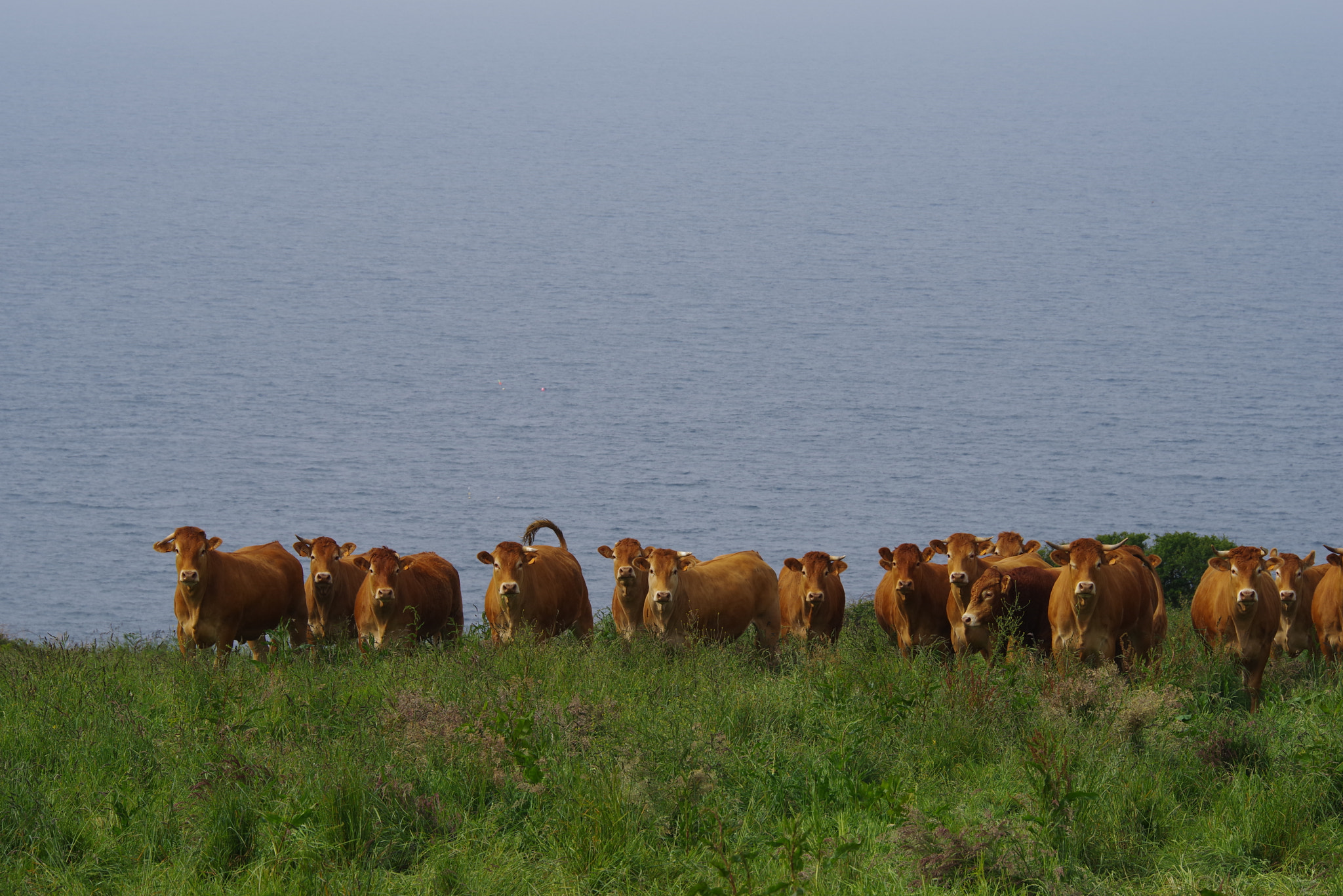 Pentax K-1 sample photo. Loquirec & guimaëc pointe de beg ar fry photography