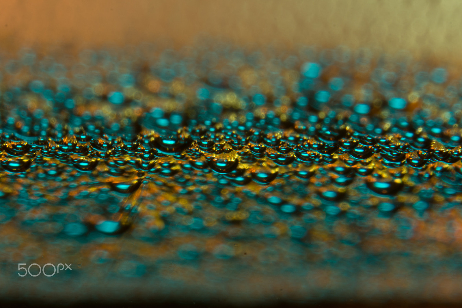 Nikon AF-S DX Micro Nikkor 40mm F2.8 sample photo. Mind twister photography