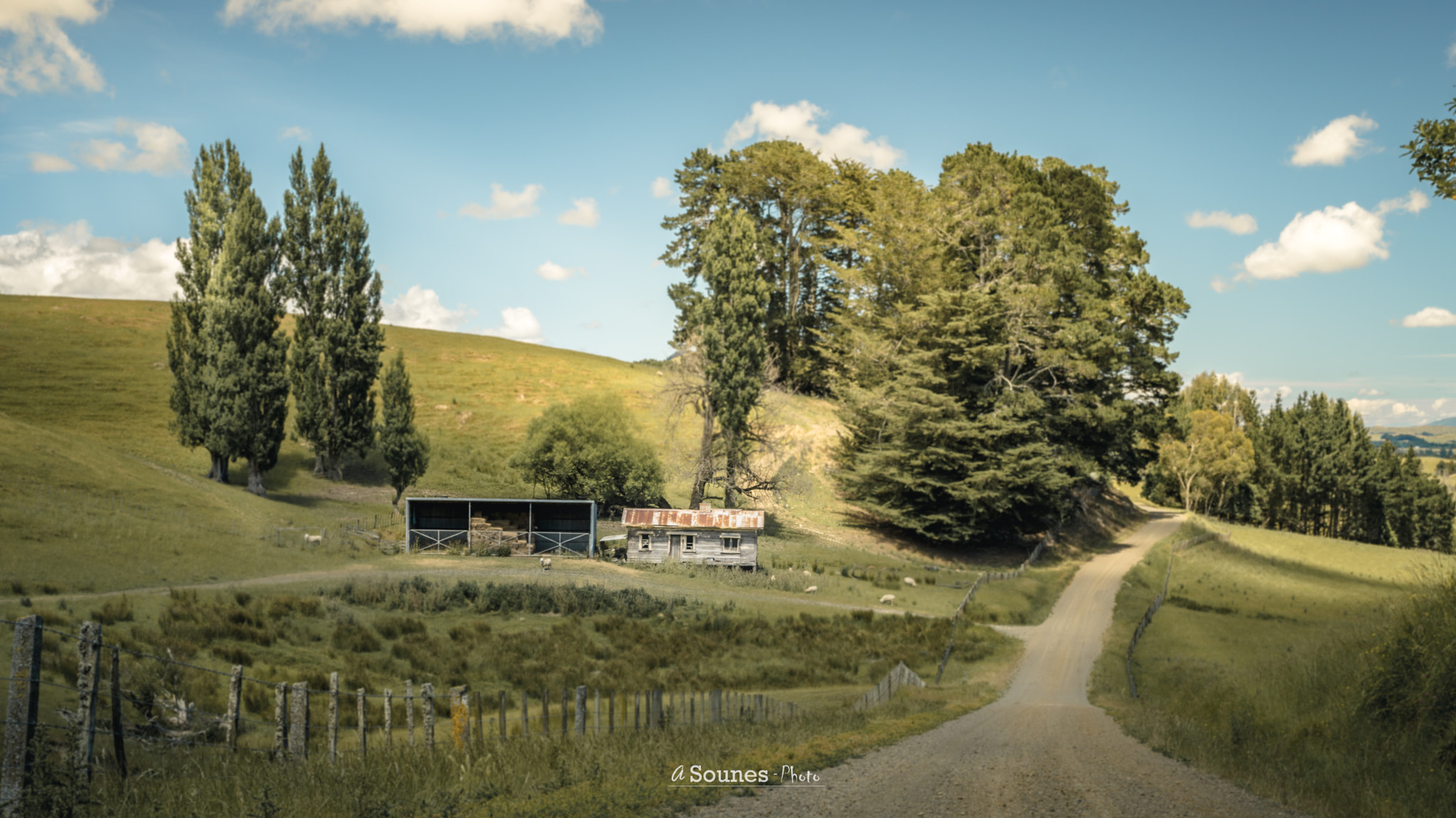 Sony a6300 + Sony FE 28mm F2 sample photo. Nz farm photography