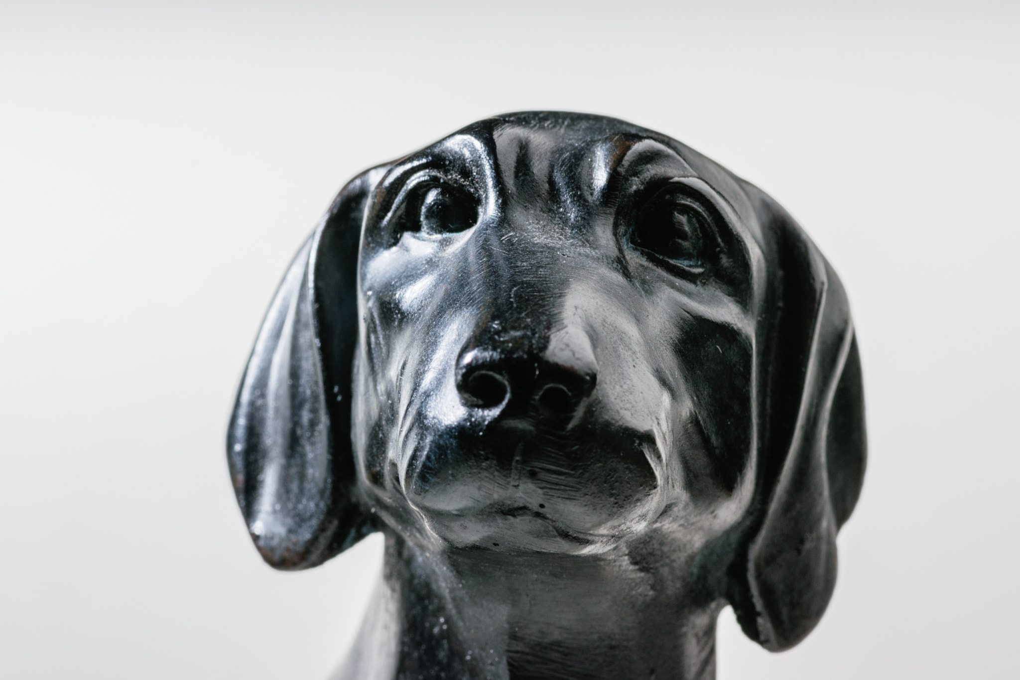 Tokina AT-X Pro 100mm F2.8 Macro sample photo. Black lab face macro photography