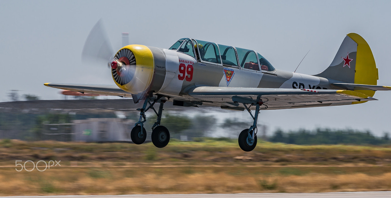 Sigma 150-600mm F5-6.3 DG OS HSM | C sample photo. Yak-52 sp-ycp photography