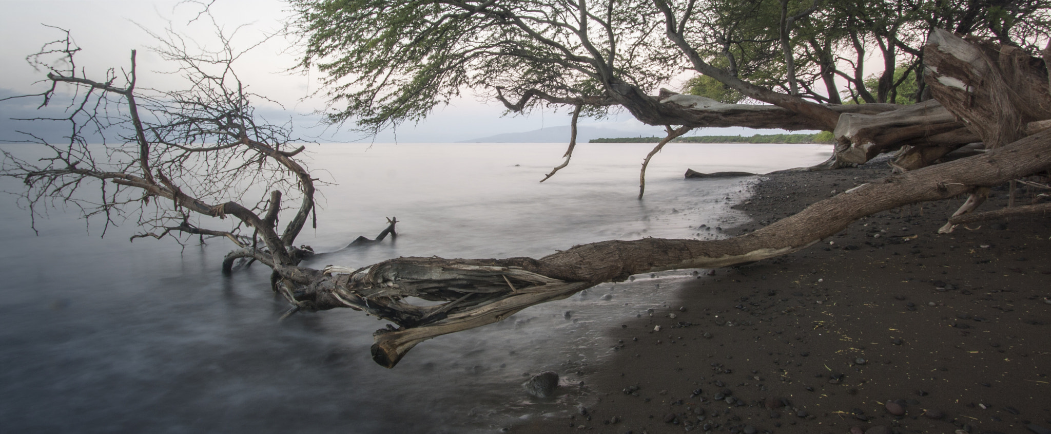 Canon EOS 1000D (EOS Digital Rebel XS / EOS Kiss F) sample photo. Morning waves photography