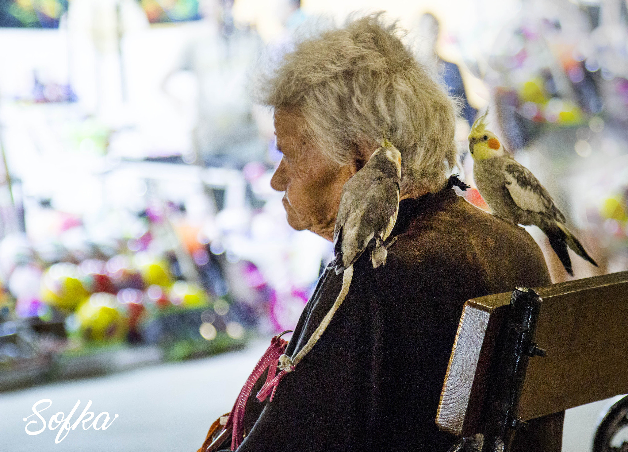 Canon EOS 600D (Rebel EOS T3i / EOS Kiss X5) sample photo. Exotic person photography