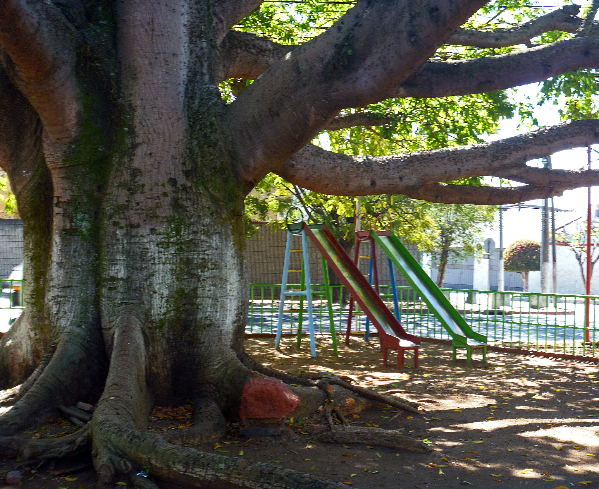 Panasonic DMC-FP3 sample photo. Playground photography