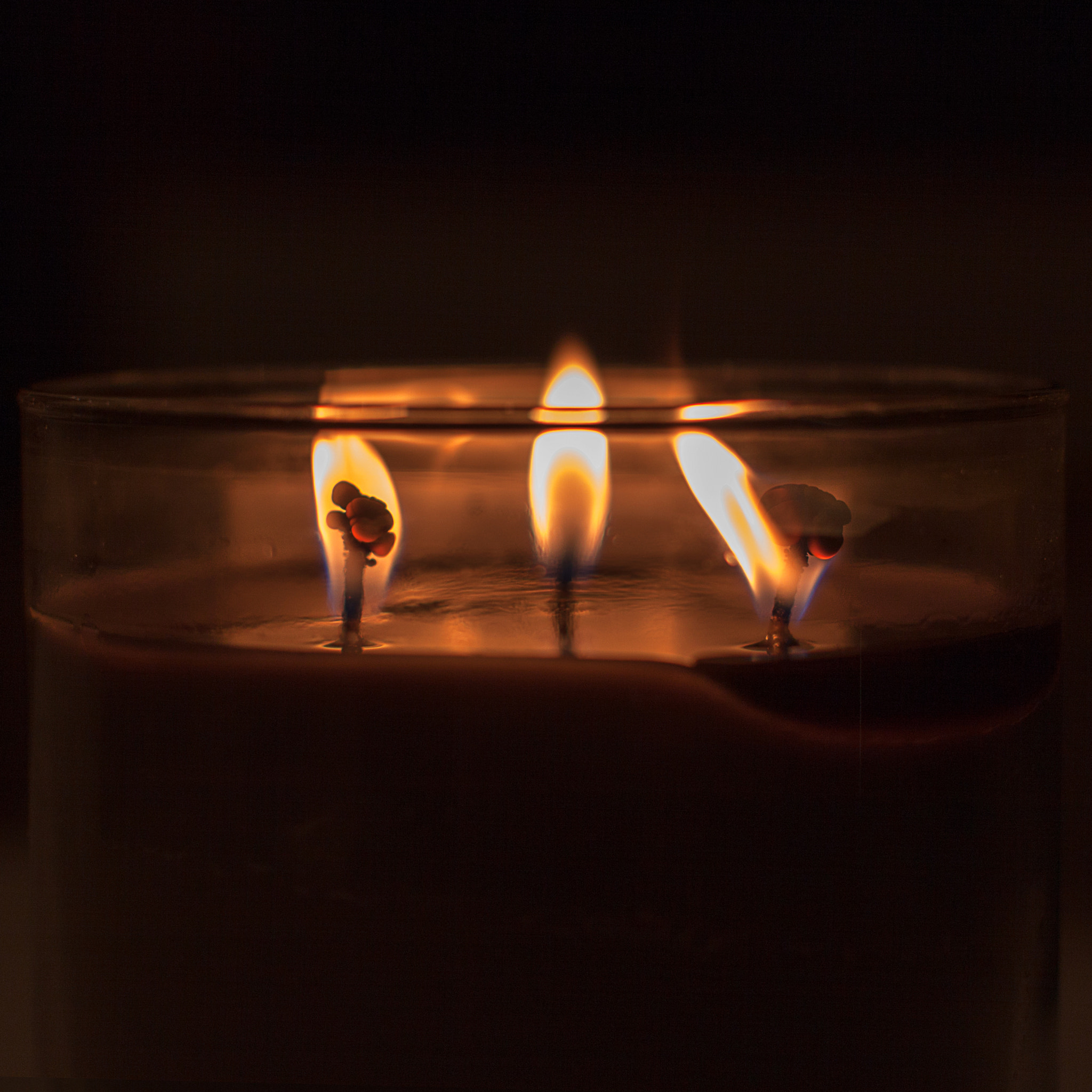 Canon EOS 50D + Canon EF 50mm F1.2L USM sample photo. Warmth photography