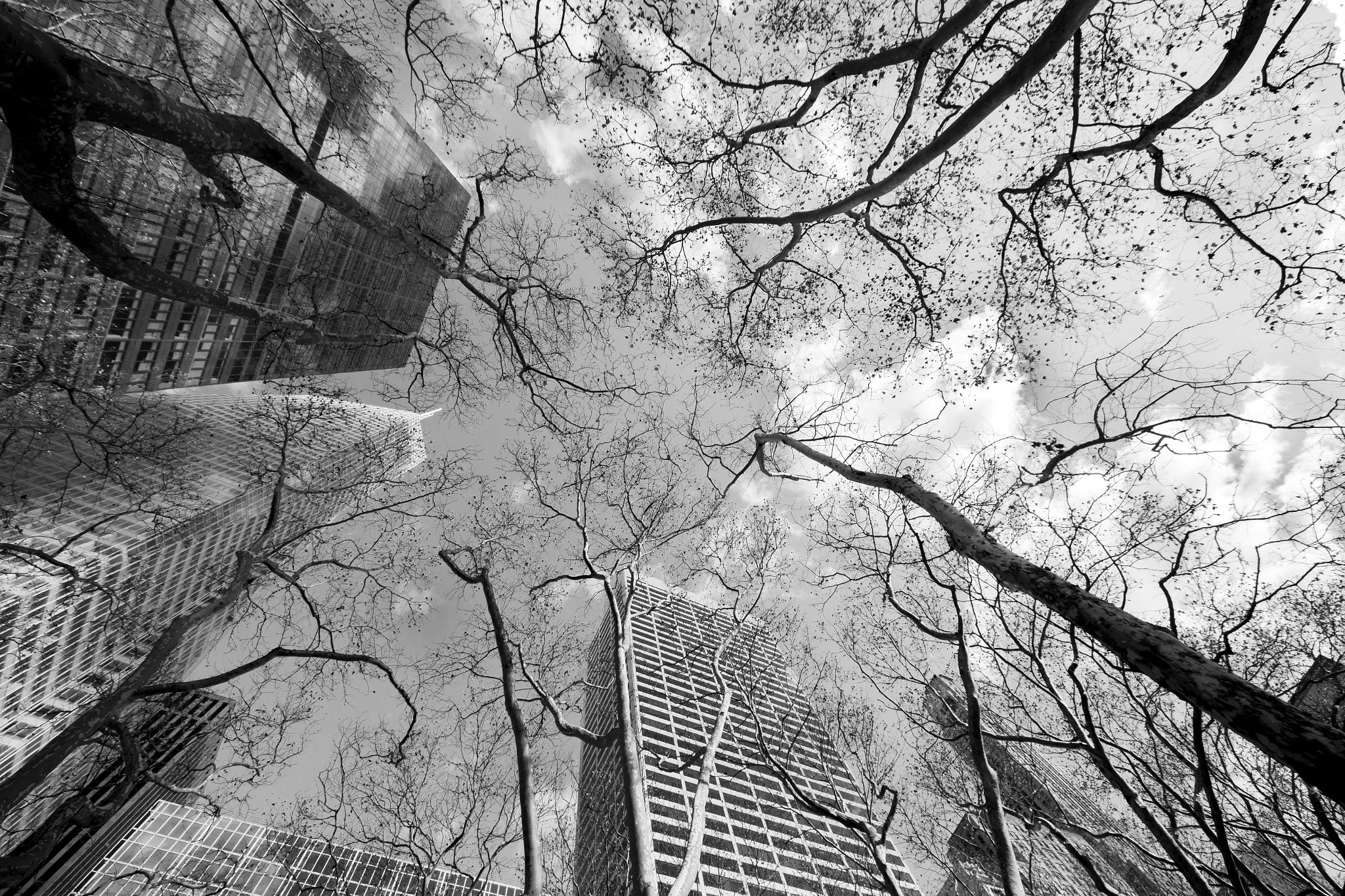 Sigma 8-16mm F4.5-5.6 DC HSM sample photo. Nature vs urban photography