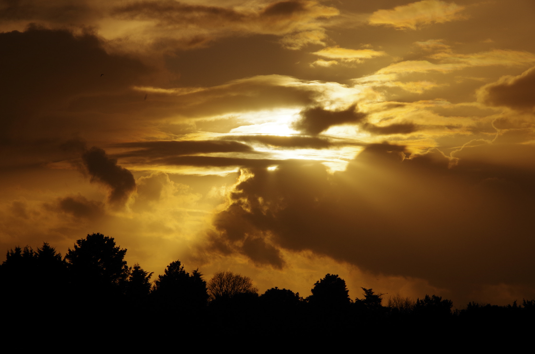 Pentax K-50 sample photo. Noyalo & le hezo photography