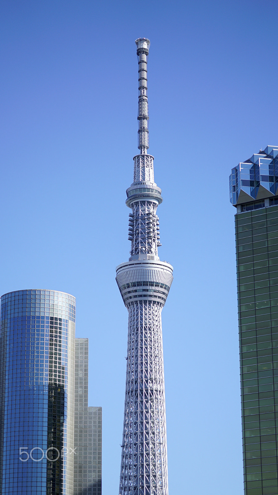 Sony a7S II sample photo. Tokyo skytree & buddies photography