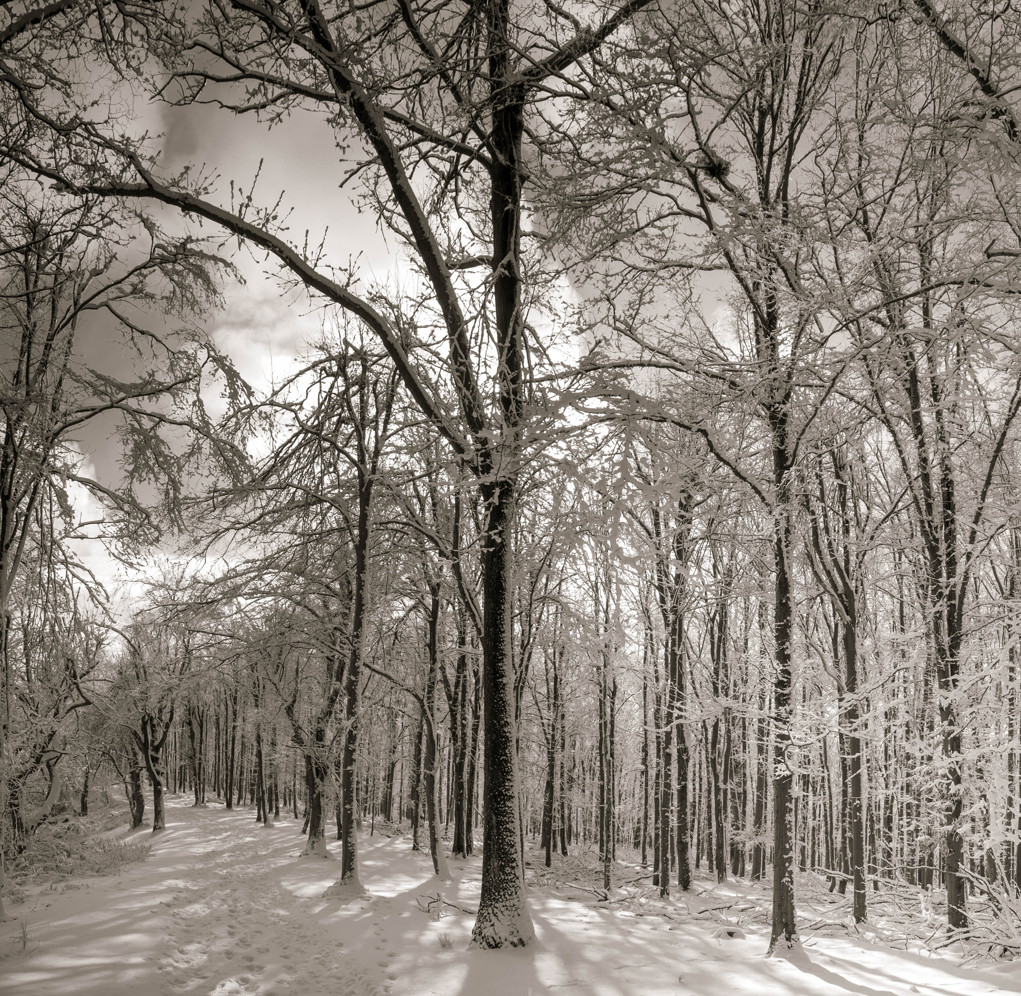 Nikon D90 + Sigma 18-50mm F3.5-5.6 DC sample photo. Alone in the wilderness photography