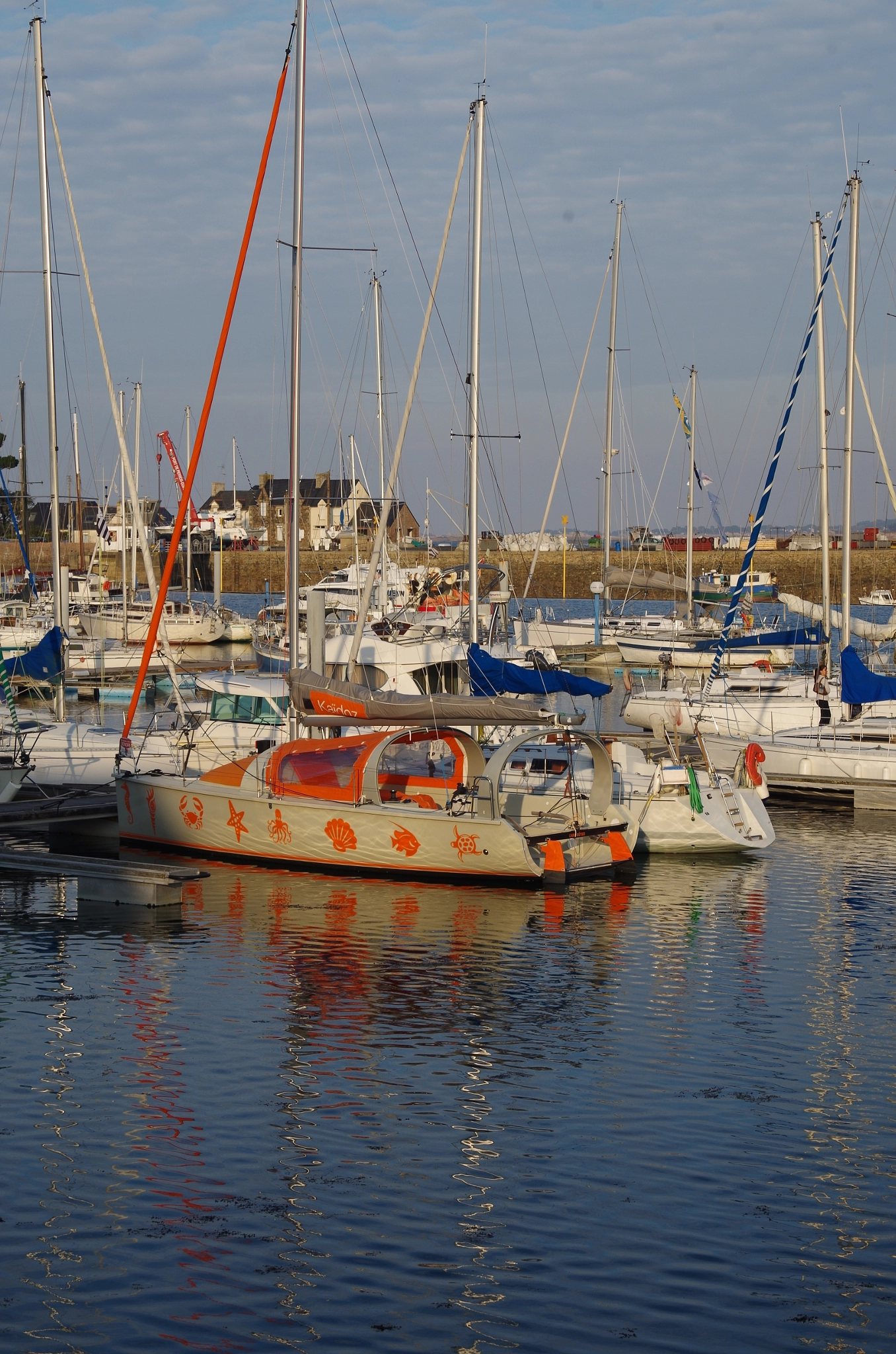 Pentax K-50 sample photo. Perros photography