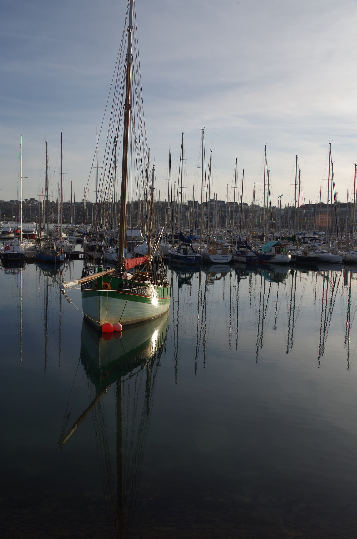 Pentax K-50 sample photo. Perros photography