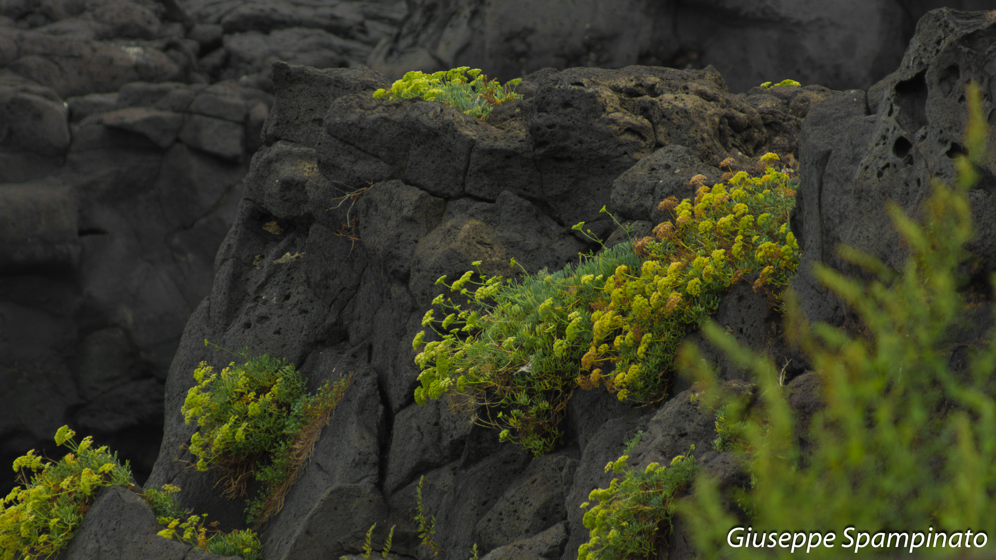Sony 75-300mm F4.5-5.6 sample photo. Nature in the rock photography