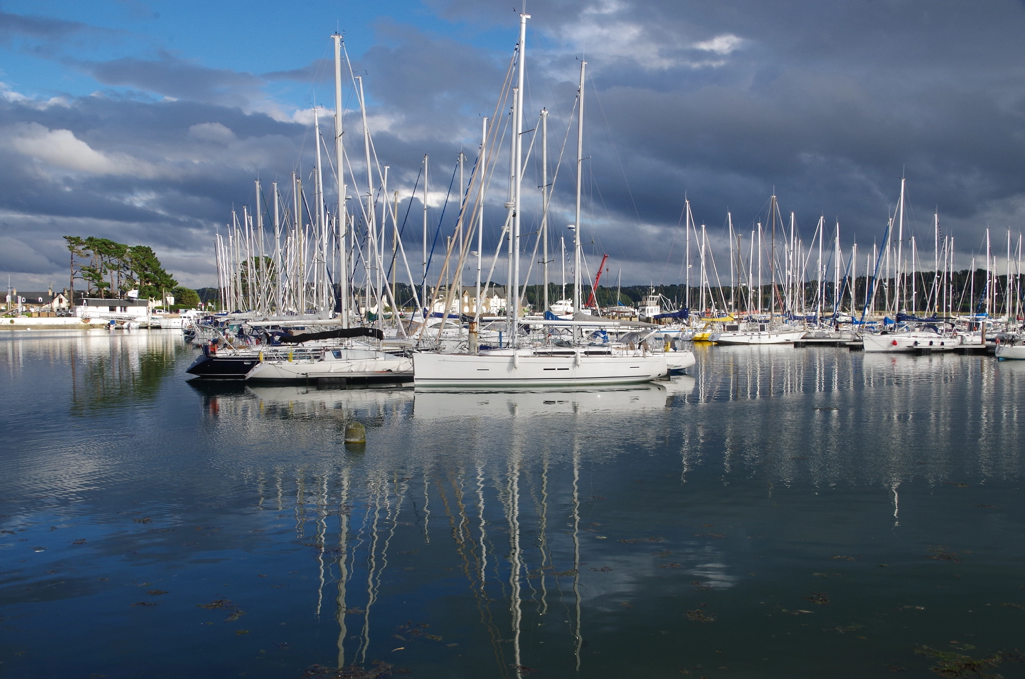 Pentax K-50 sample photo. Perros photography