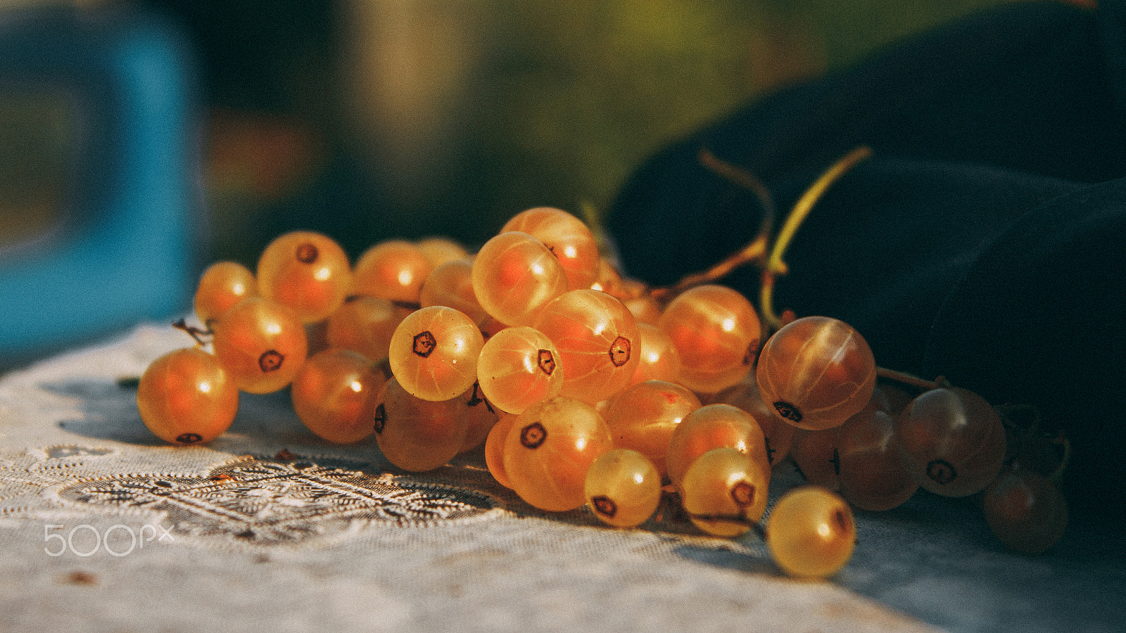 Canon EOS 650D (EOS Rebel T4i / EOS Kiss X6i) sample photo. White currant photography