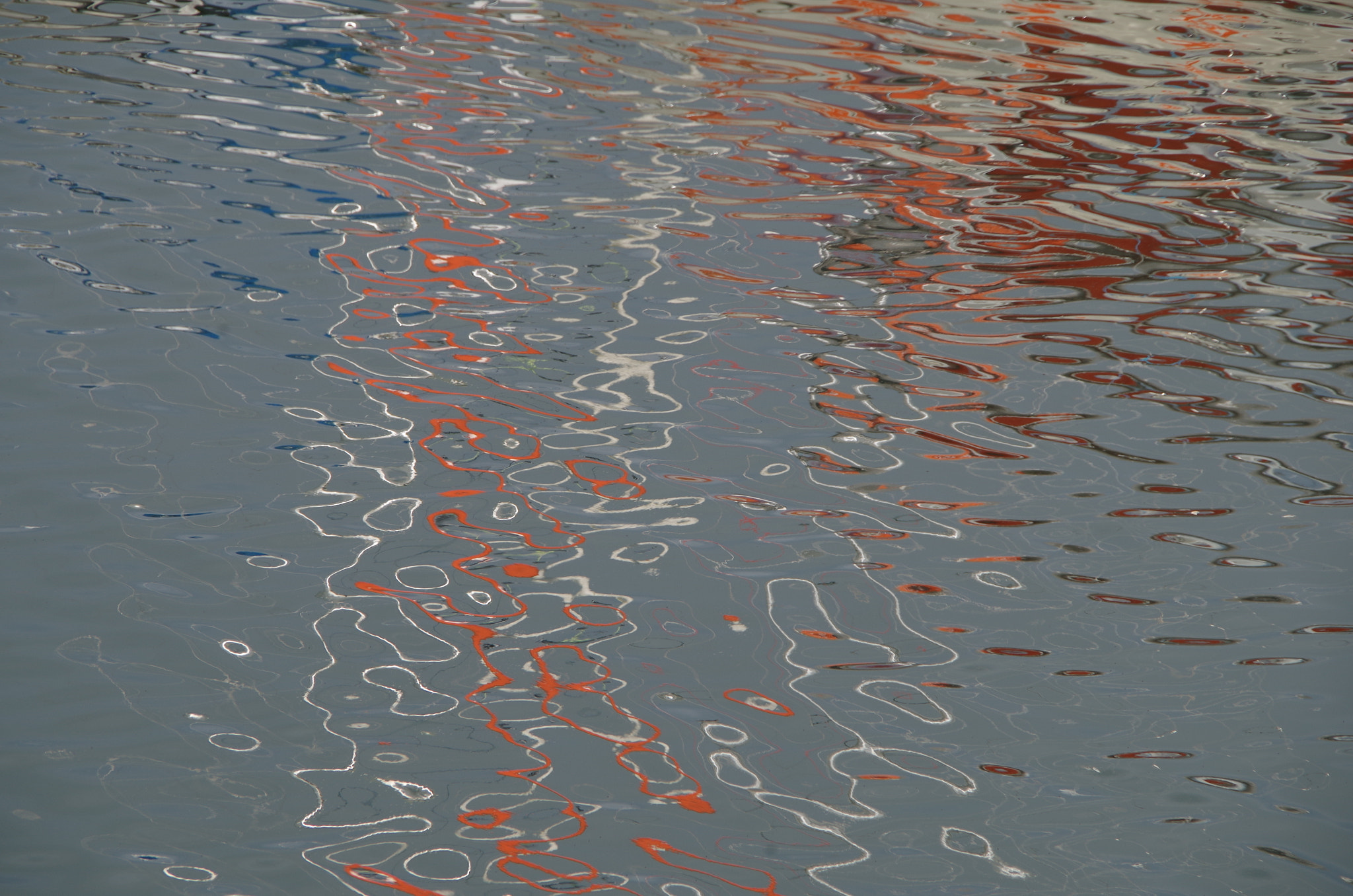 Pentax K-50 sample photo. Perros photography