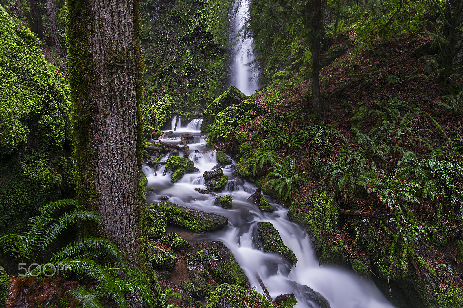 Nikon Df + Nikon AF-S Nikkor 20mm F1.8G ED sample photo. Lower proxy falls photography