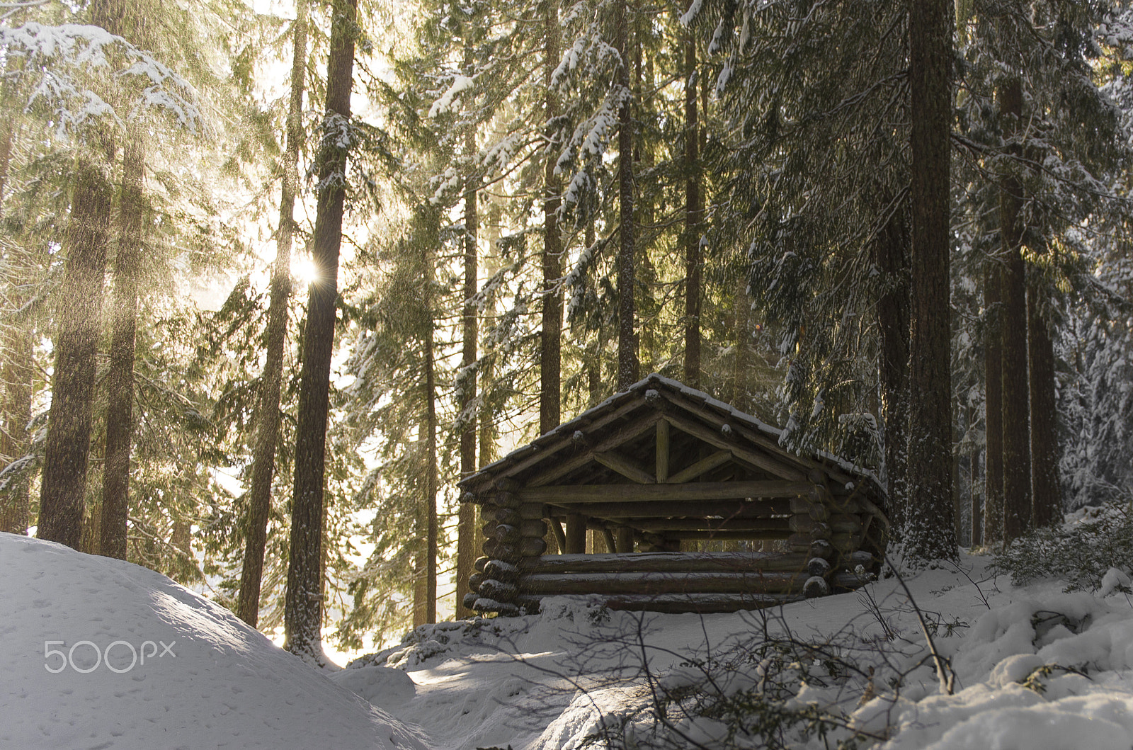 Nikon Df sample photo. Abandoned cabin photography