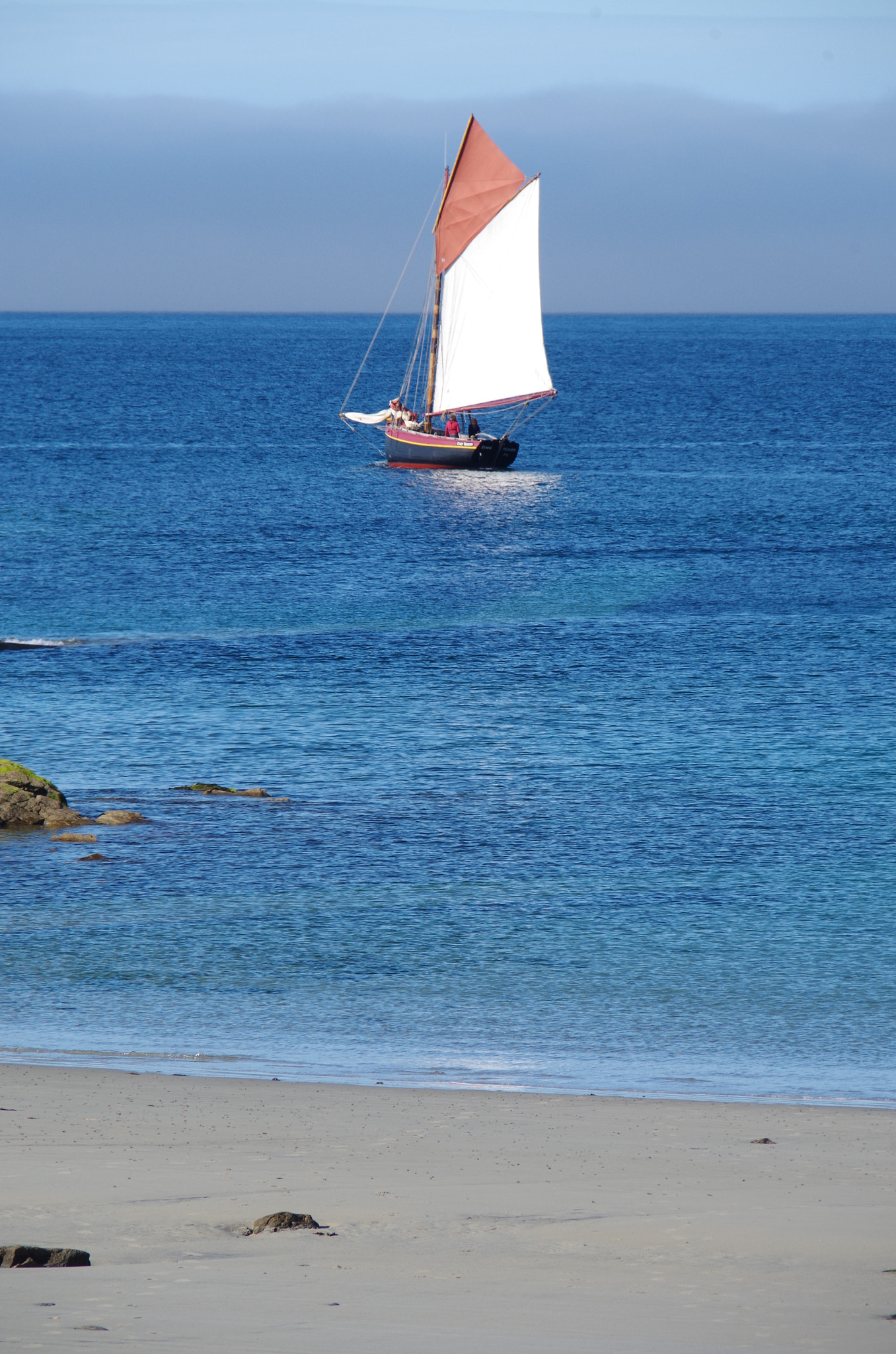 Pentax K-50 sample photo. Perros photography
