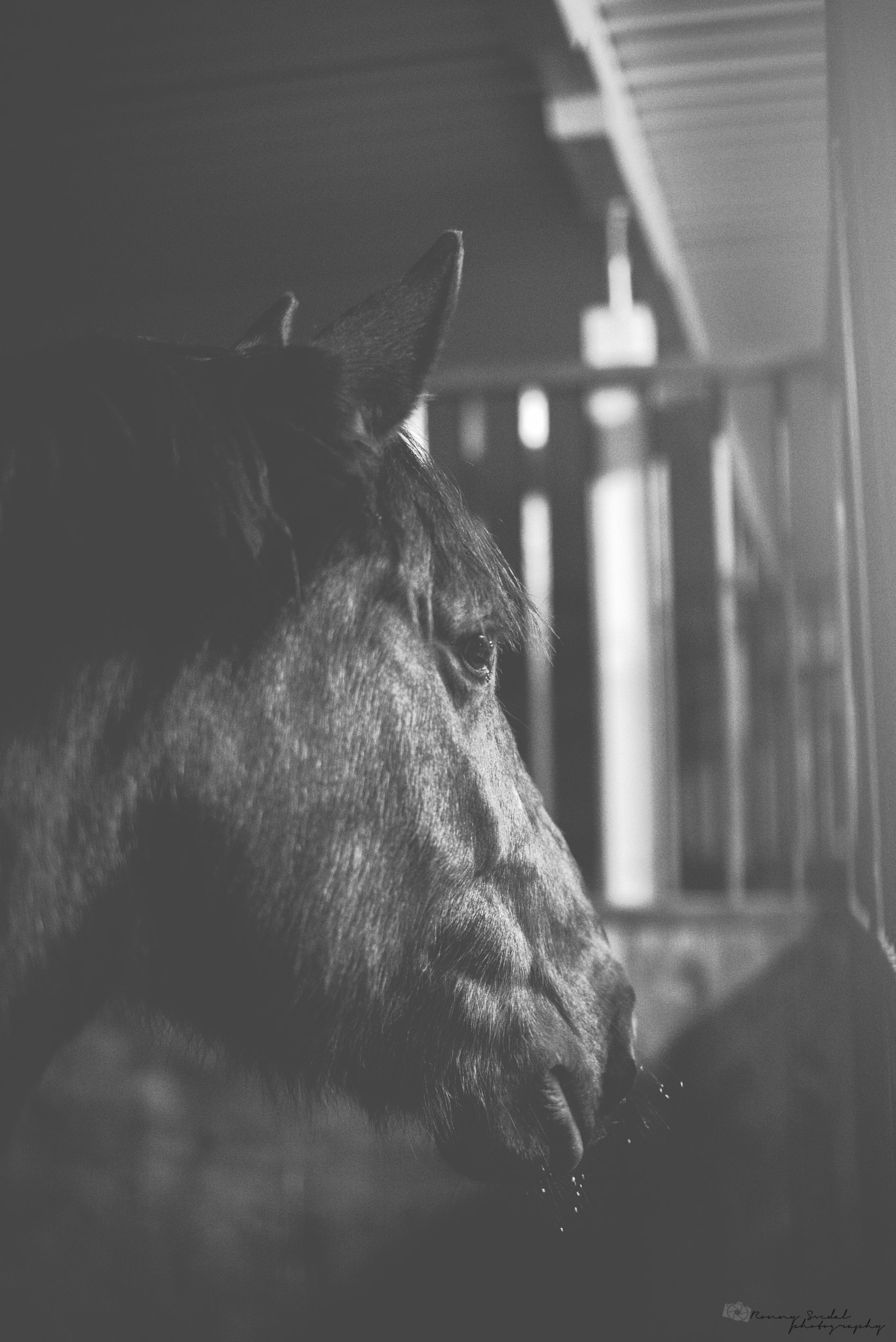 Sigma 50mm F1.4 EX DG HSM sample photo. Infinity photography