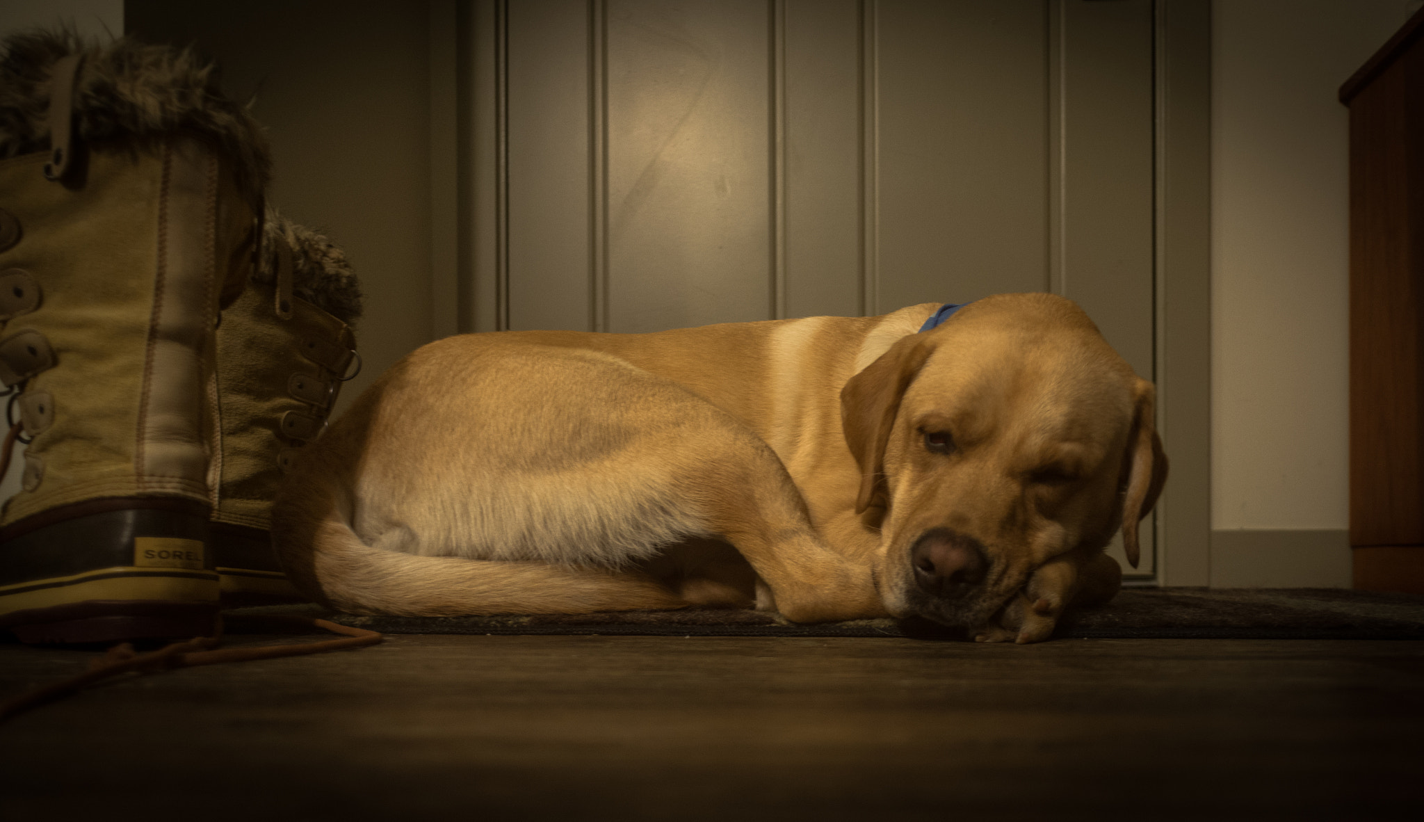 Nikon D800 + Nikon AF Nikkor 20mm F2.8D sample photo. Birthdays are exhausting photography