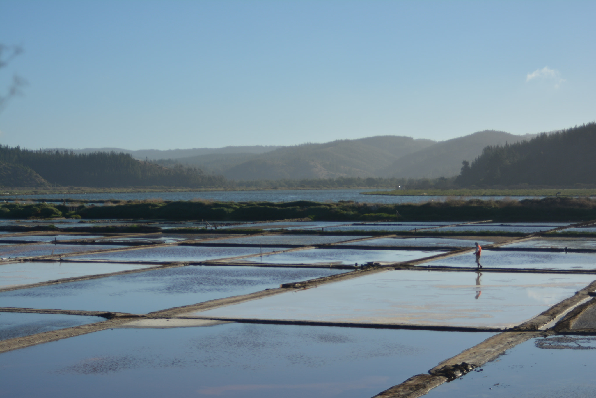 AF Zoom-Nikkor 35-70mm f/3.3-4.5 sample photo. Salar de cahuil - pichilemu photography