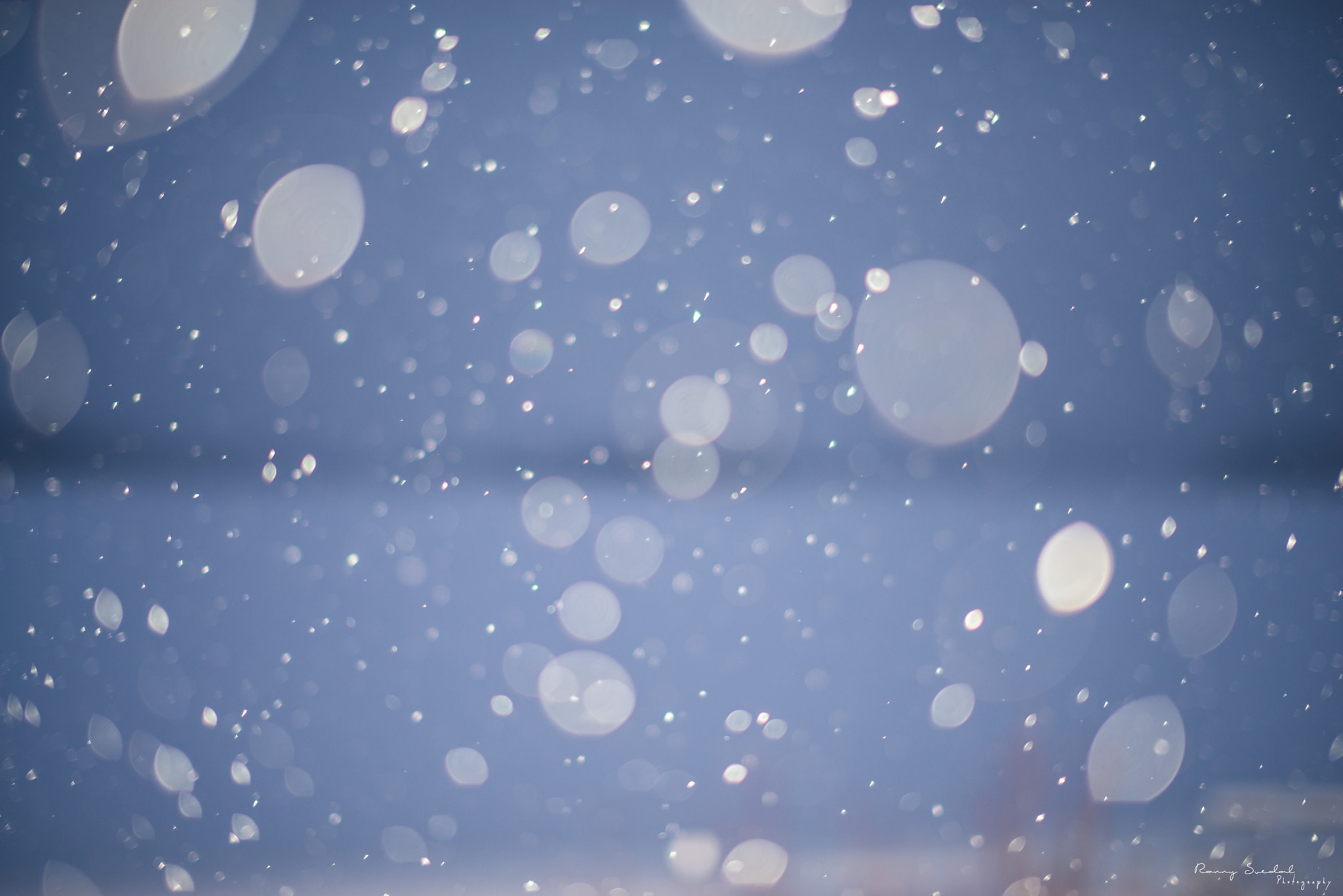 Nikon D800 sample photo. Bokeh snow photography