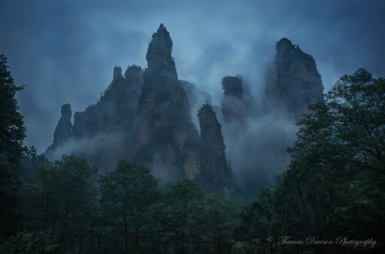 Sony a7R + Canon EF 17-40mm F4L USM sample photo. Entering mysterious lands photography