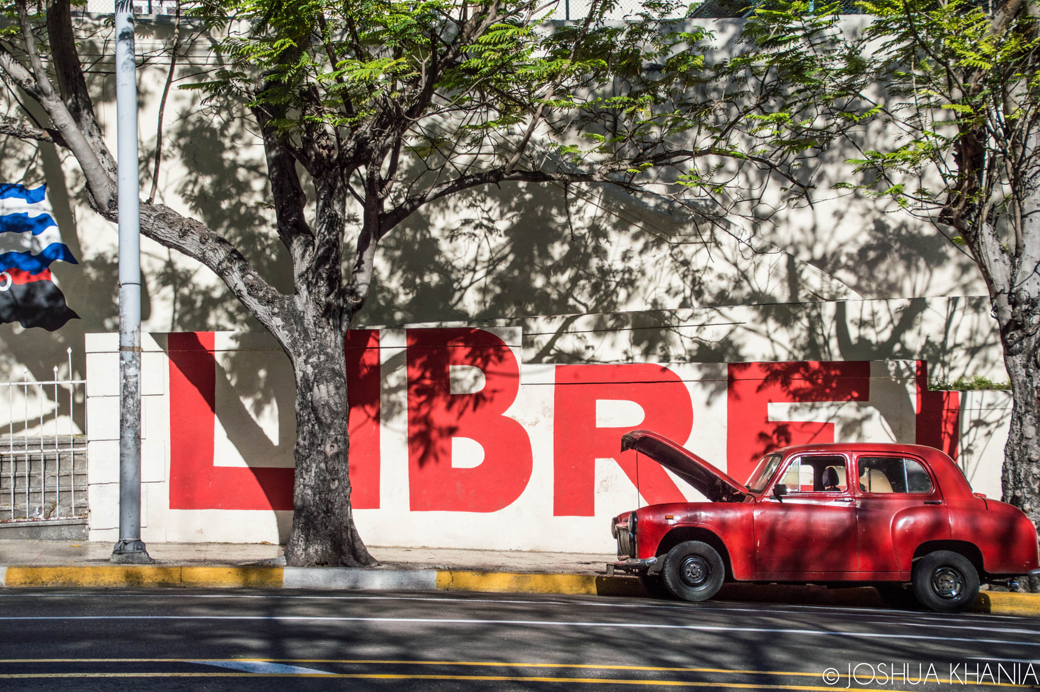 Nikon D3200 sample photo. Libre photography