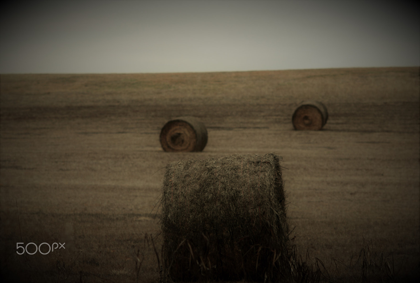 Nikon D200 sample photo. 3 bales of hay photography