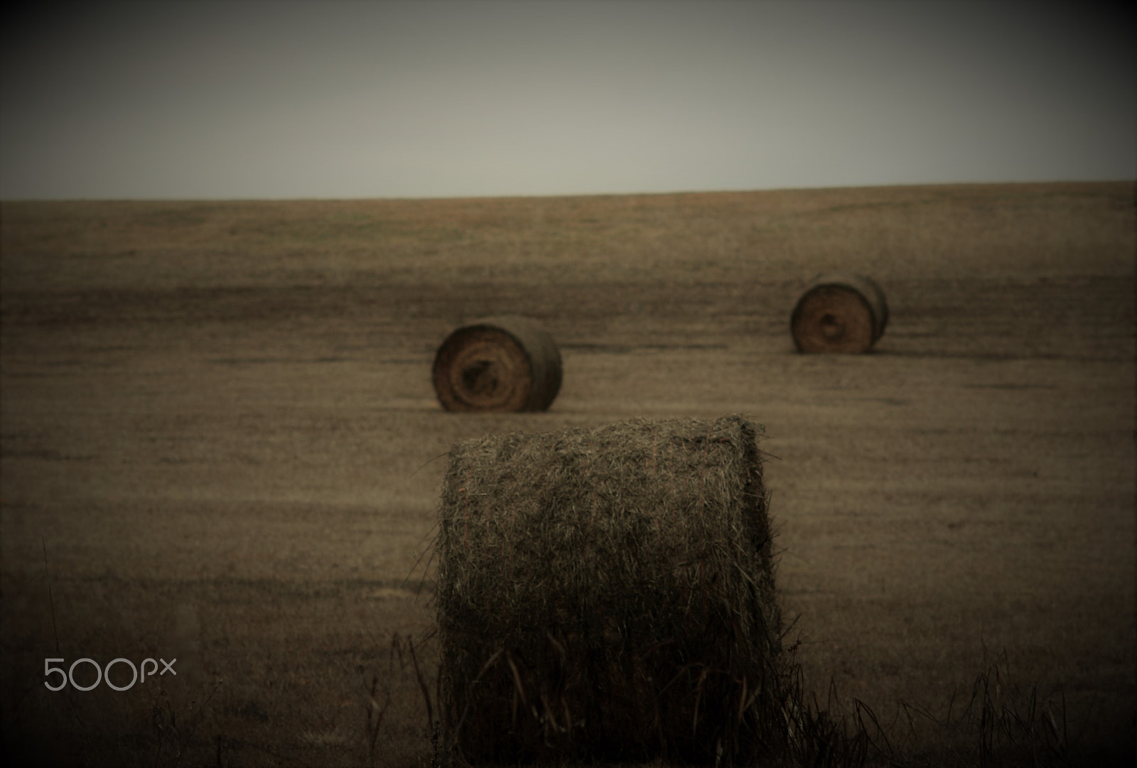 Nikon D200 + Manual Lens No CPU sample photo. 3 bales of hay photography