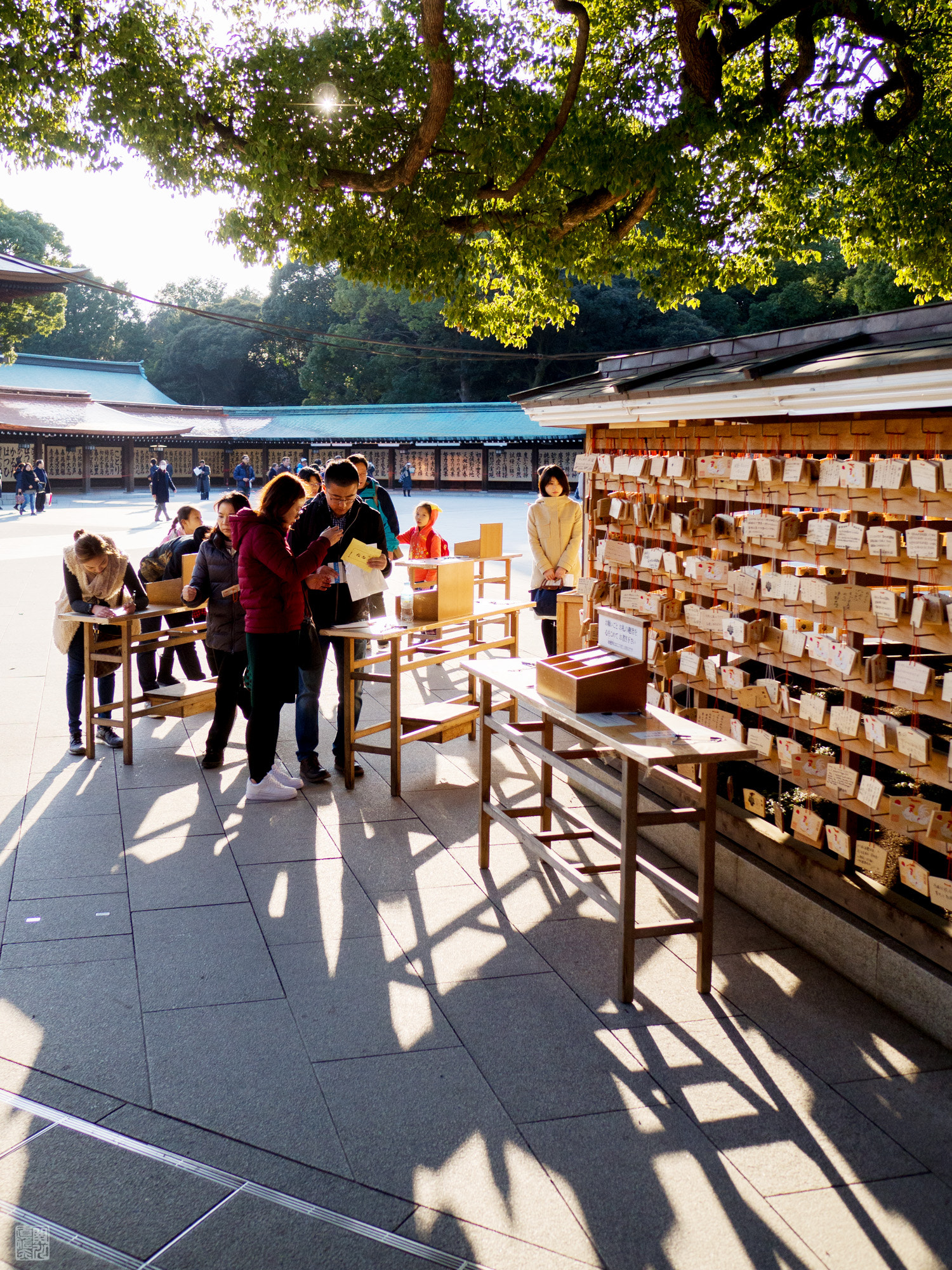 Olympus OM-D E-M10 II + LEICA DG SUMMILUX 15/F1.7 sample photo. Ema photography