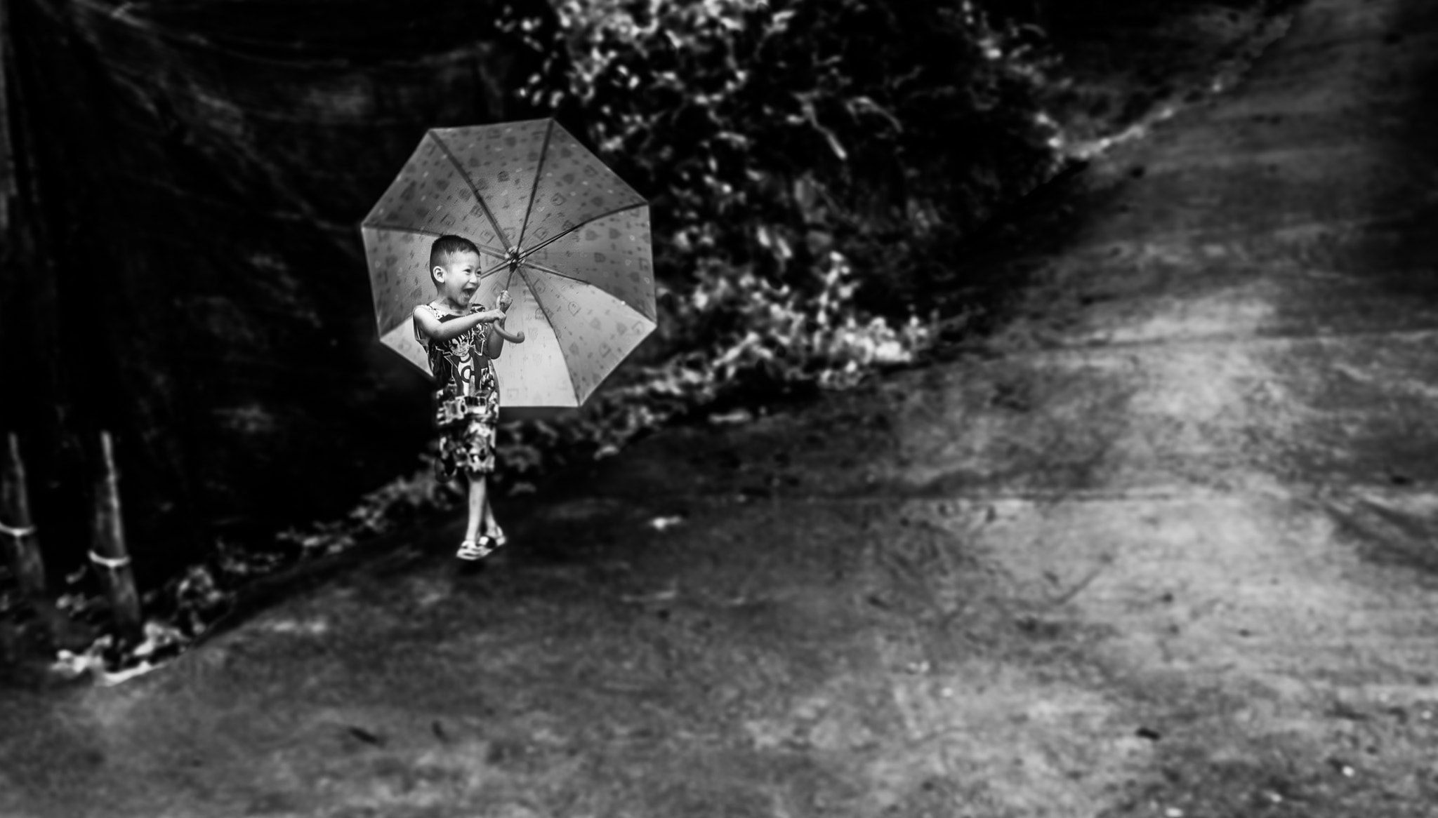 Panasonic Lumix DMC-GH3 sample photo. Happy thai coffee plantation boy photography