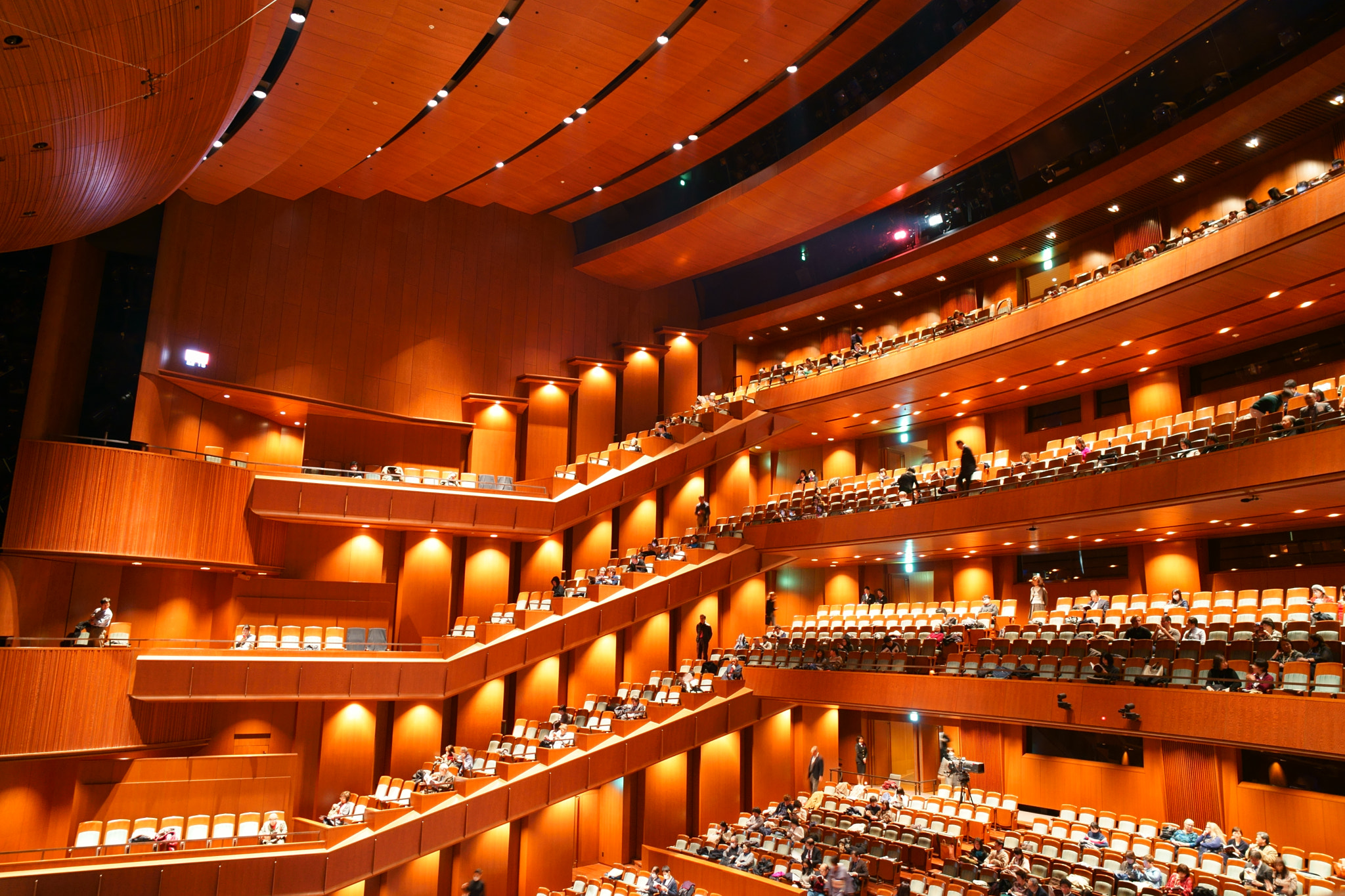Sony a7 II + ZEISS Batis 25mm F2 sample photo. Concert hall photography