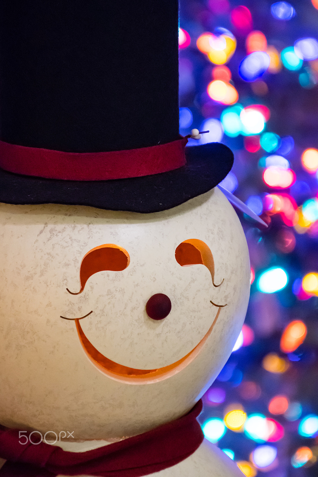 Nikon D500 sample photo. Happy snowman photography