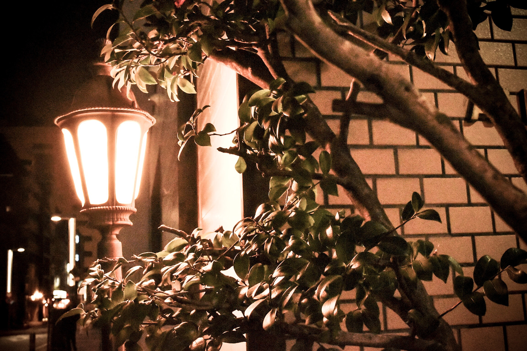 Nikon D5500 sample photo