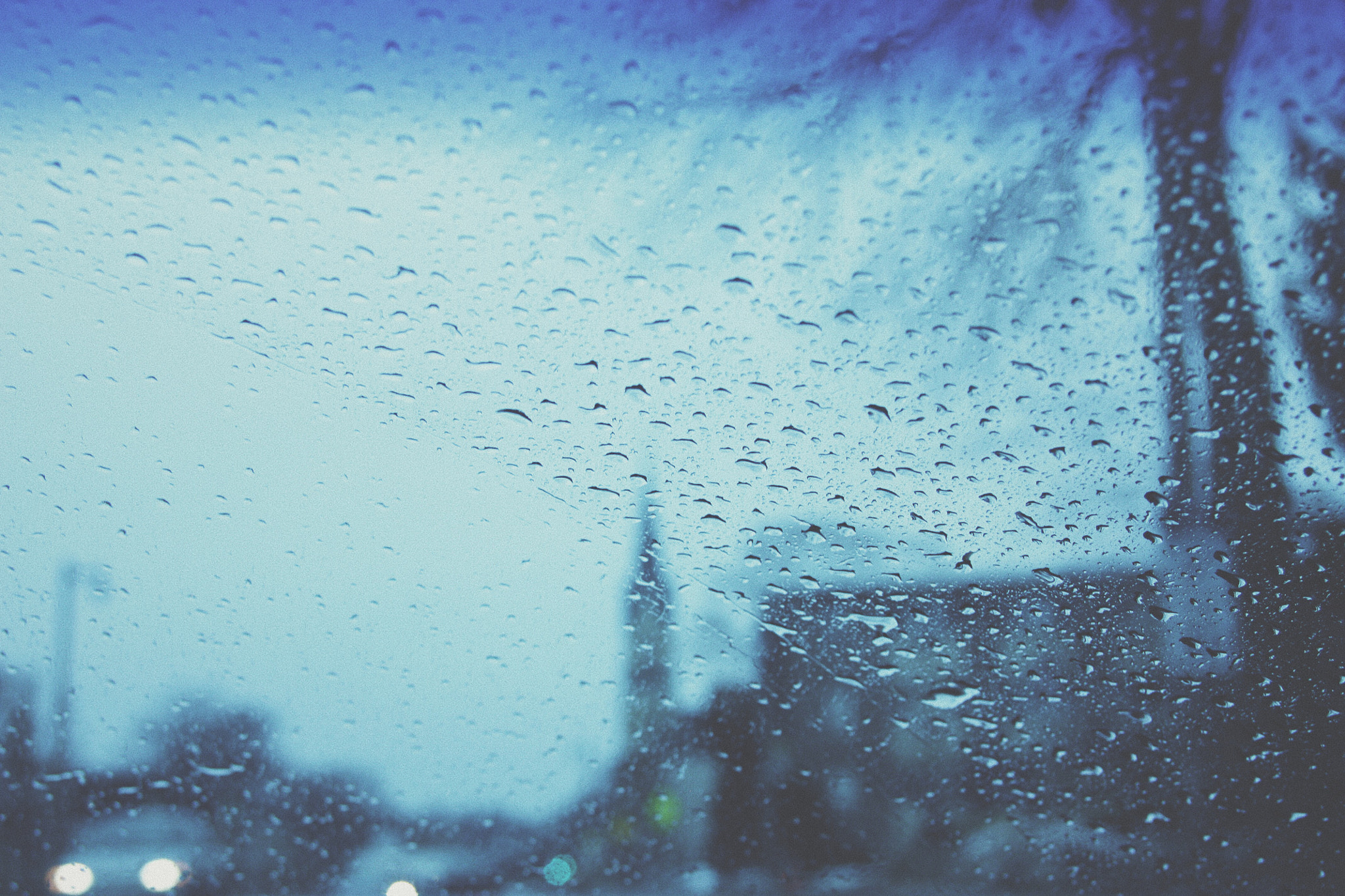 Canon EOS 450D (EOS Rebel XSi / EOS Kiss X2) sample photo. ☔️ photography