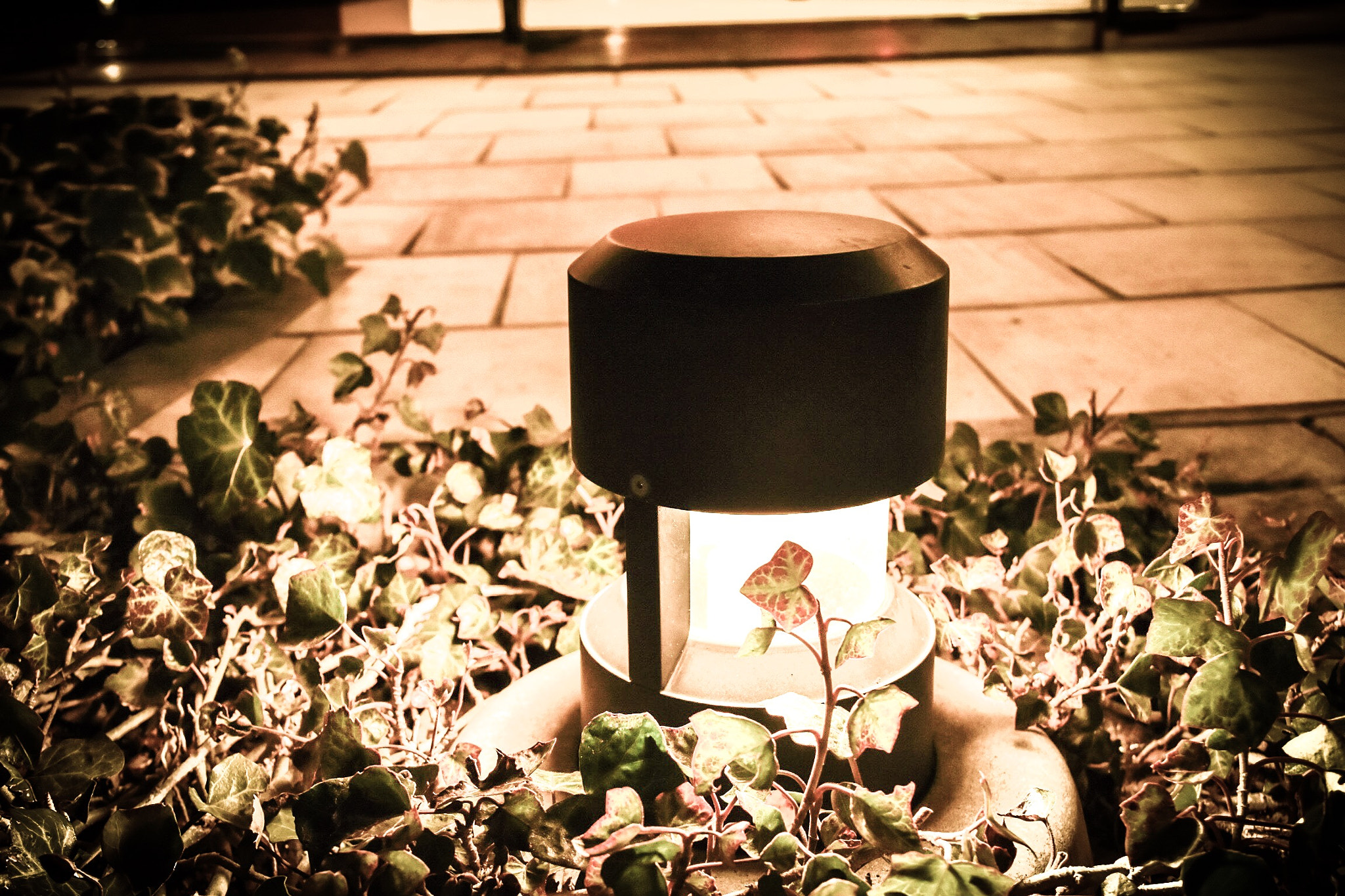 Nikon D5500 sample photo