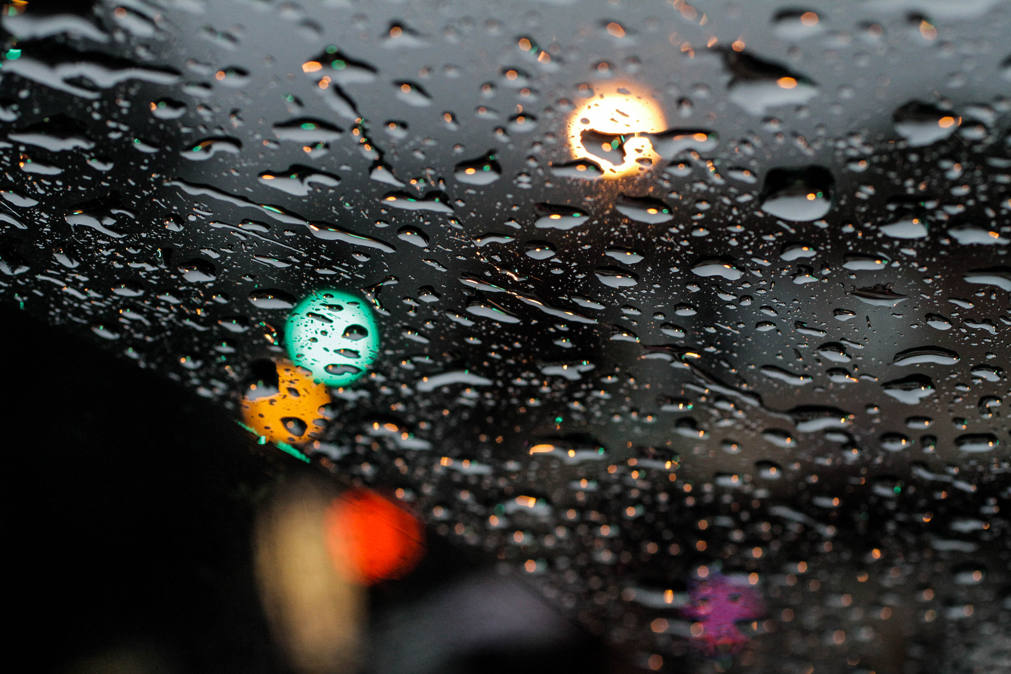 Canon EF 50mm F2.5 Macro sample photo. "focusing" on the road photography
