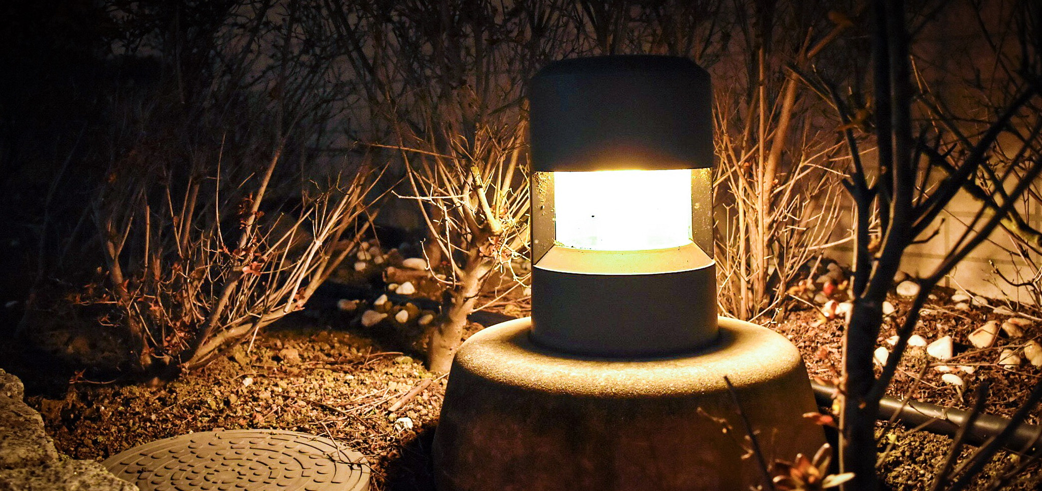 Nikon D5500 sample photo