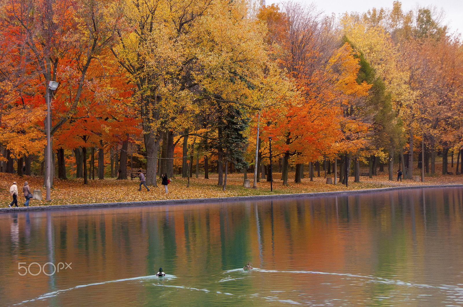 Canon PowerShot SX1 IS sample photo. Autumn by the lake photography