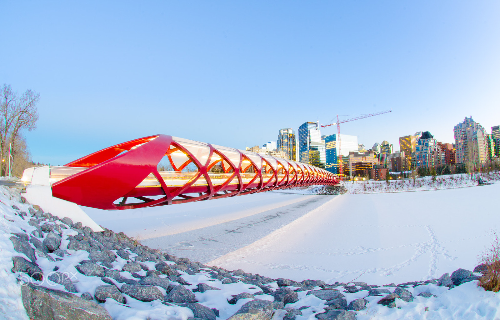 Nikon AF DX Fisheye-Nikkor 10.5mm F2.8G ED sample photo. Peace bridge photography