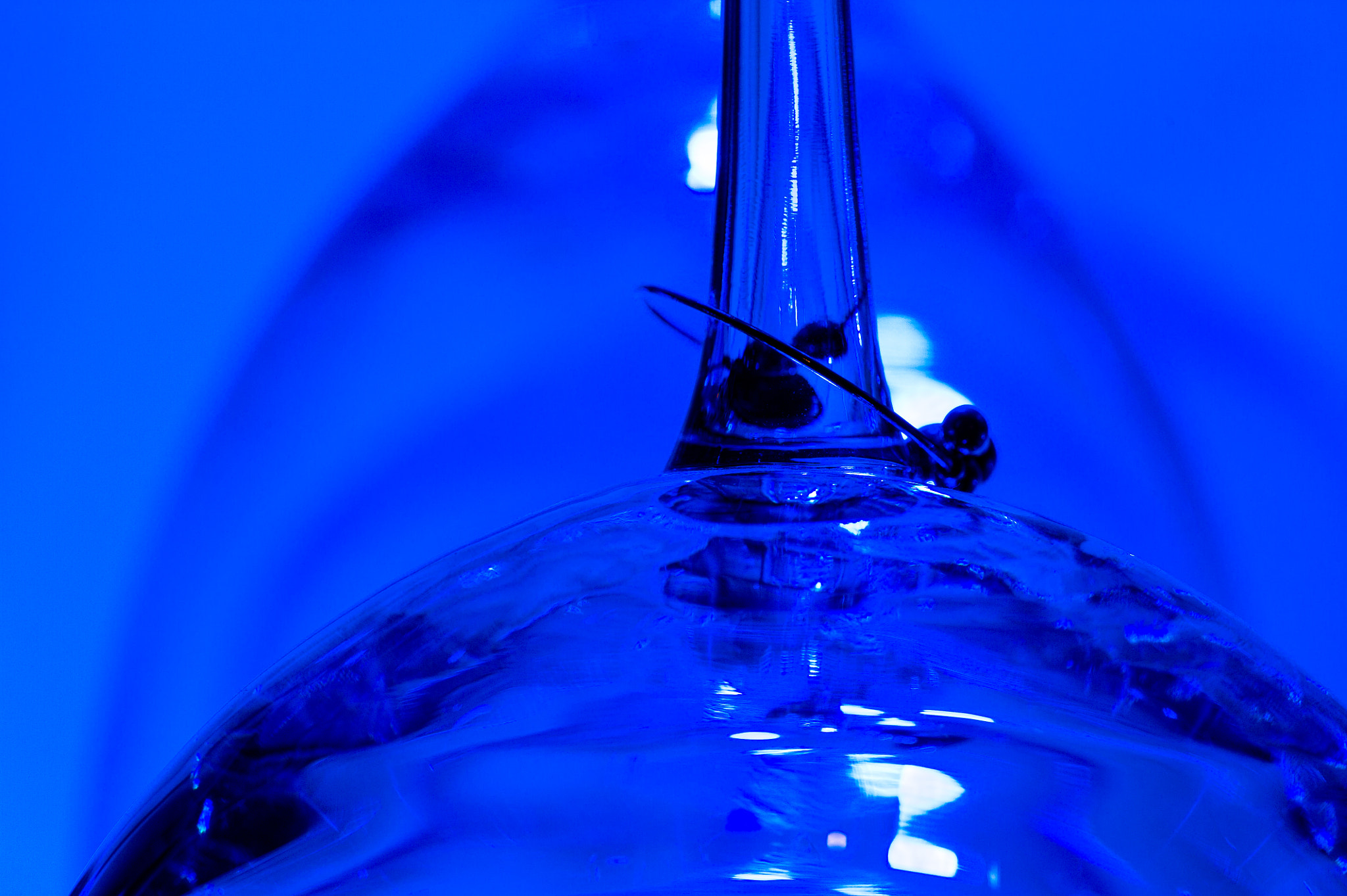 Sigma 150mm F2.8 EX DG Macro HSM sample photo. Inverted photography