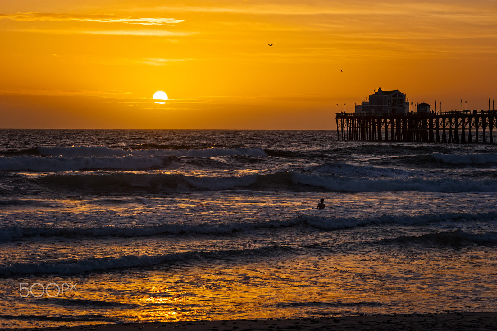 Nikon D700 sample photo. Golden sunset in oceanside - january 19, 2017 photography