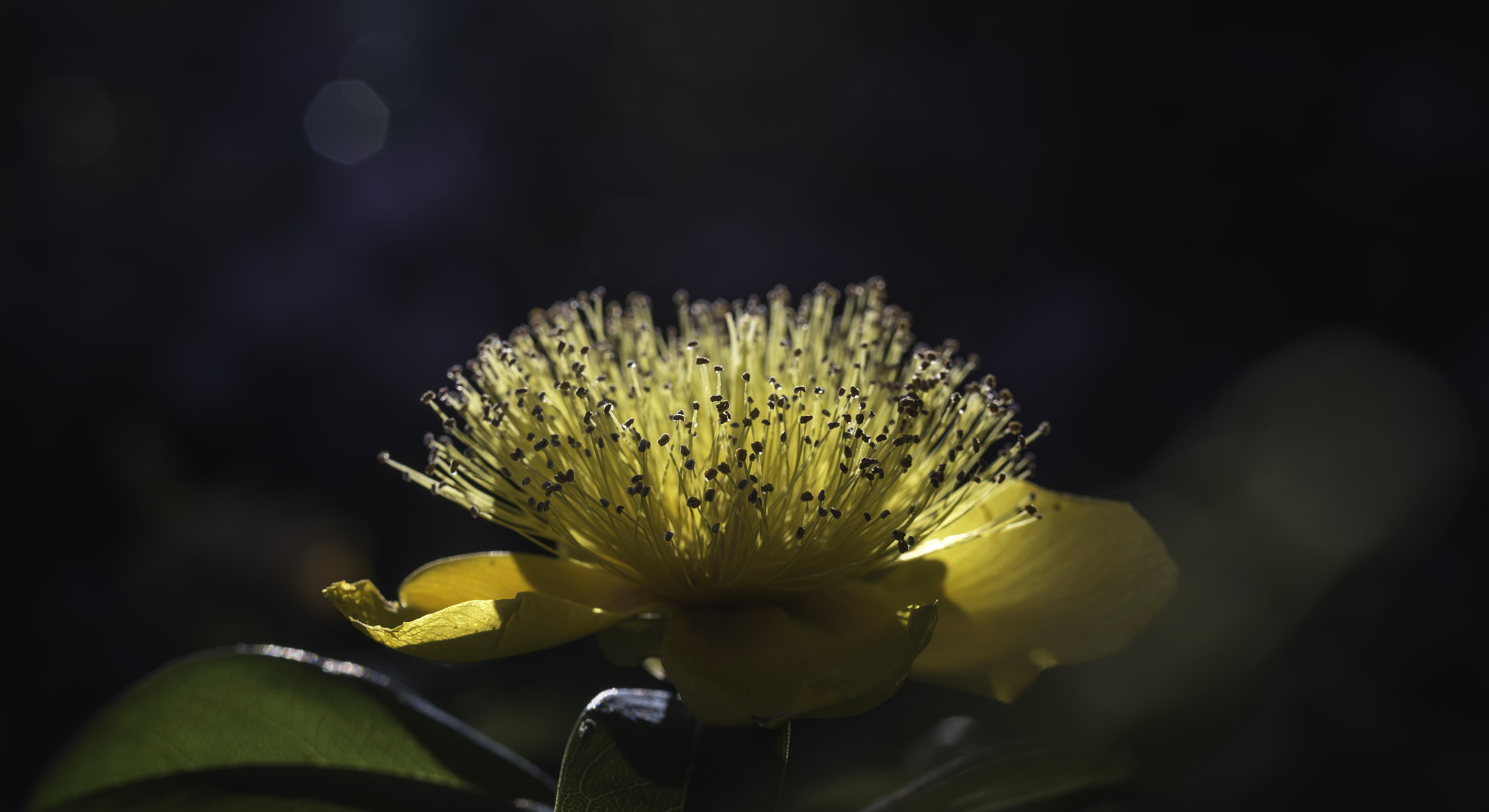Nikon D3200 sample photo. Light and shade photography