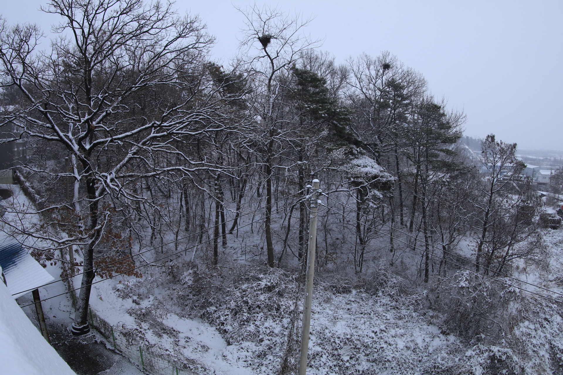 Canon EF 8-15mm F4L Fisheye USM sample photo. Winter photography