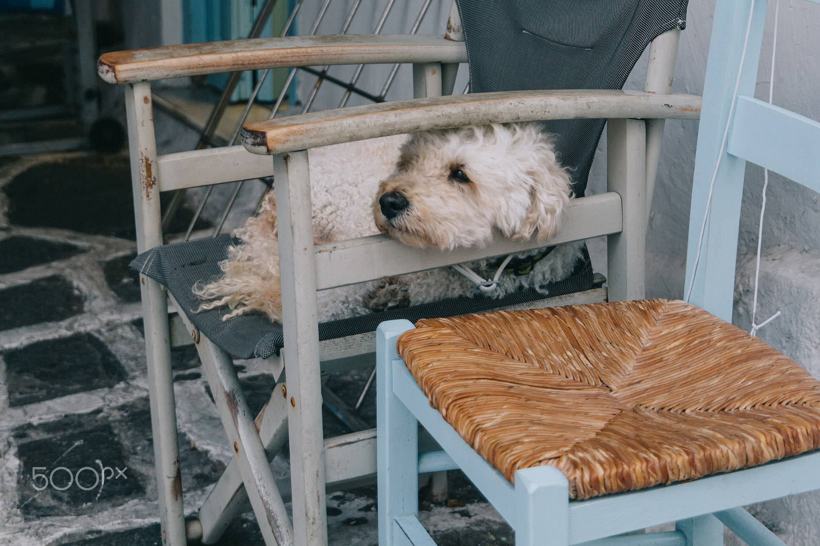 Canon EOS 650D (EOS Rebel T4i / EOS Kiss X6i) sample photo. Sleepy puppy | ios, greece1 photography