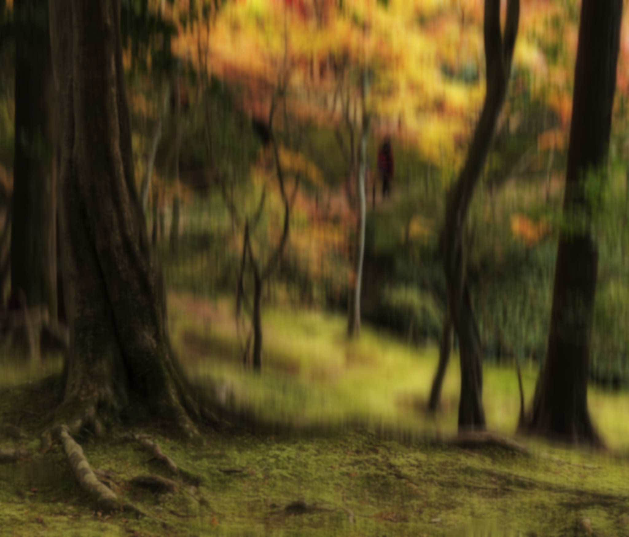 Pentax smc DA 17-70mm F4.0 AL (IF) SDM sample photo. Impression automne photography