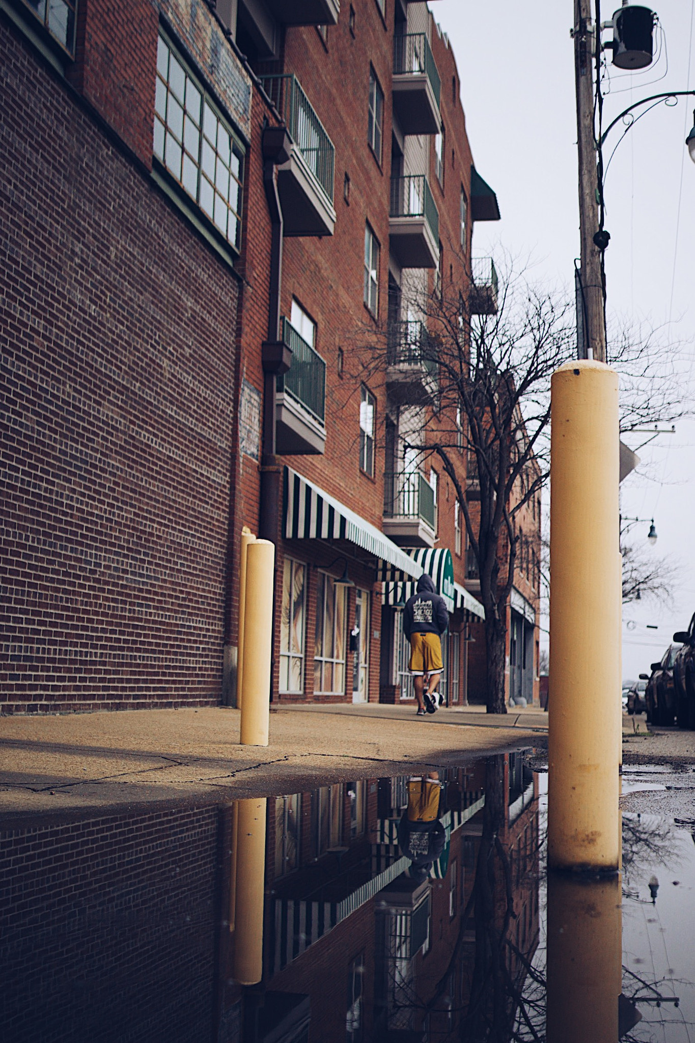 Sigma 24mm F1.4 DG HSM Art sample photo. Don't be afraid, get out and shoot. photography