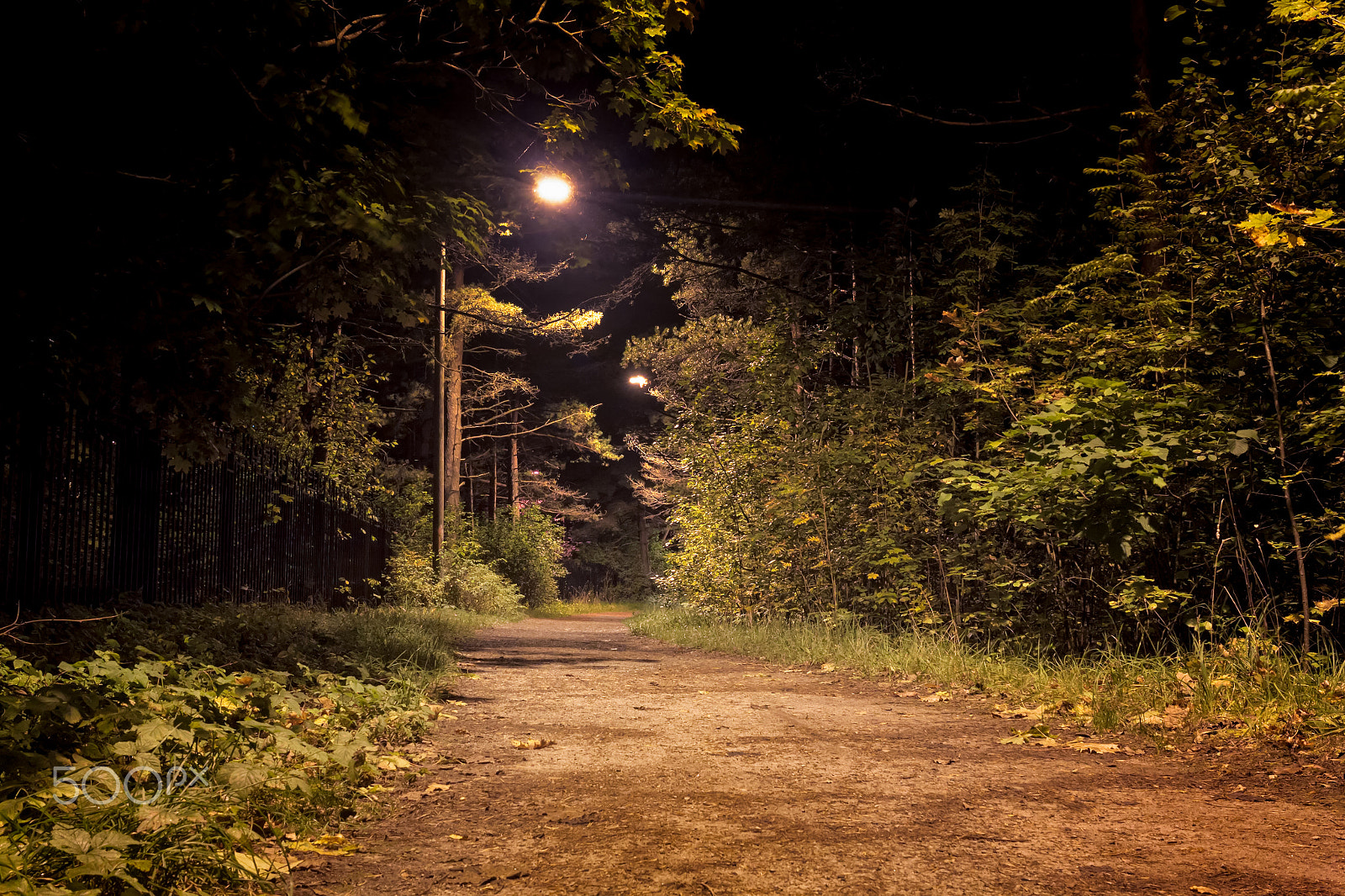 Canon EOS 50D + Canon EF-S 24mm F2.8 STM sample photo. Path to the darkness photography